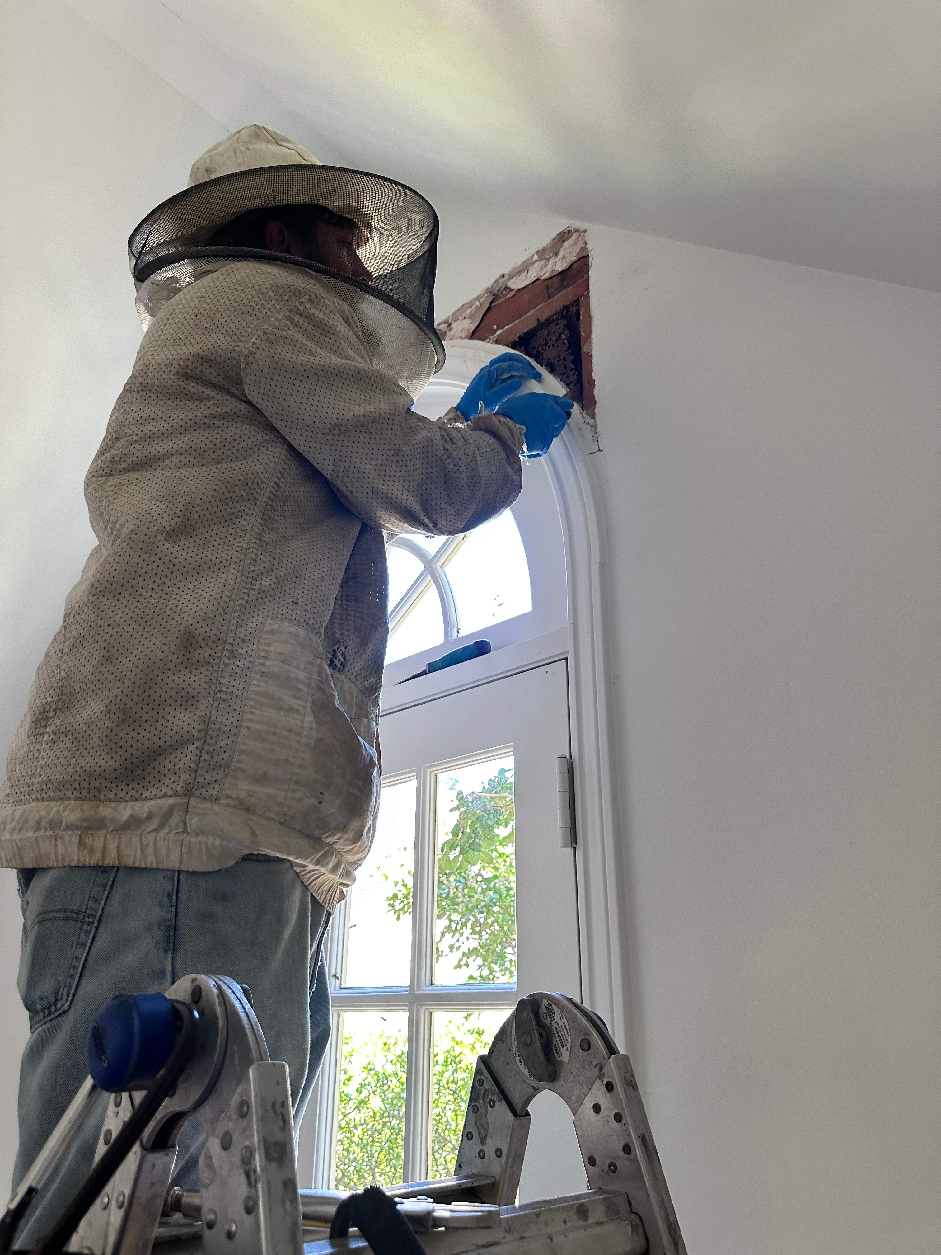 Suicide Swarm by Rockwall Honey Bee Company