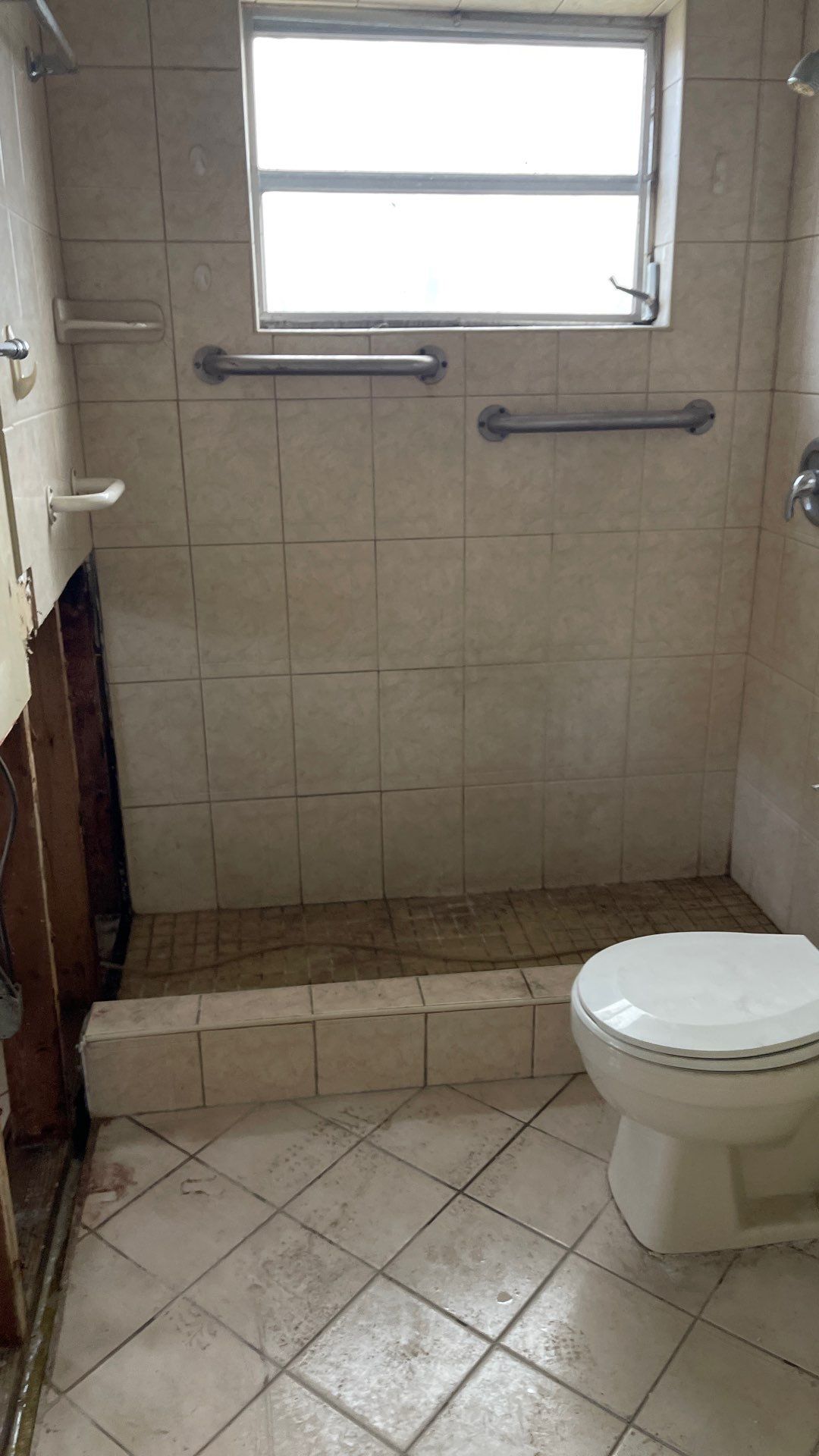 Mold Remediation  by THE RAPID TEAM