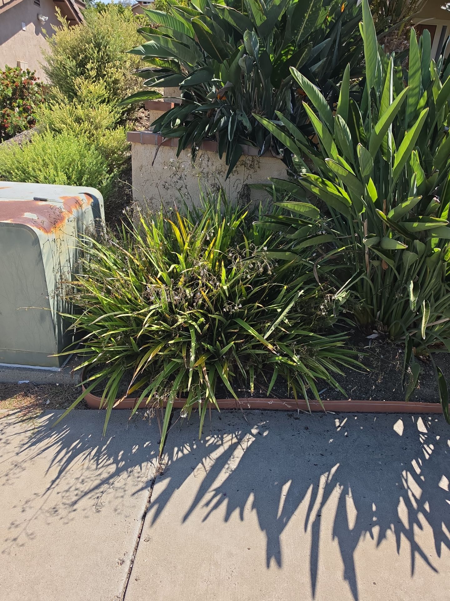 Hand Removal & Site Preparation Project by Yard Techs