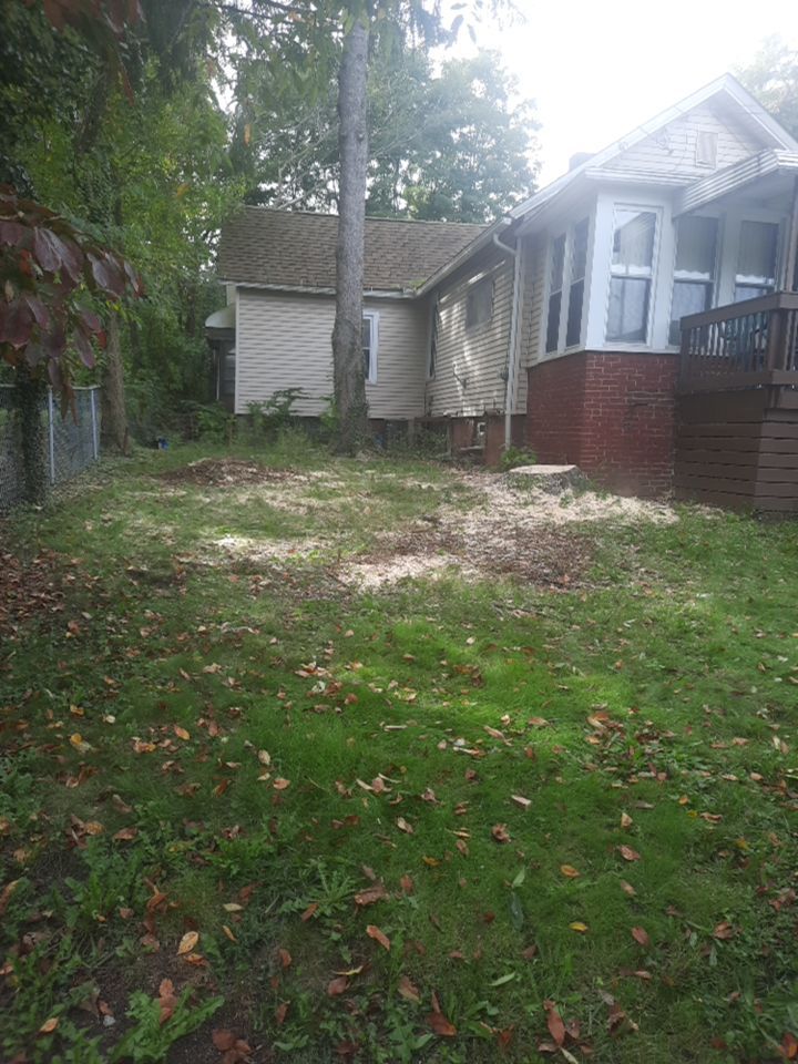 Tree Removal using Tree Removal by Mike Jones & Sons Tree Service LLC 