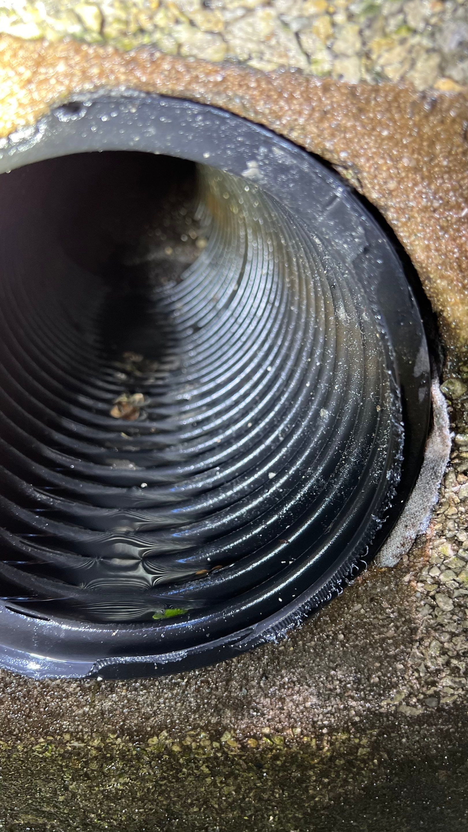 Naples Condo Catch Basin Cleaning by APS Power & Water