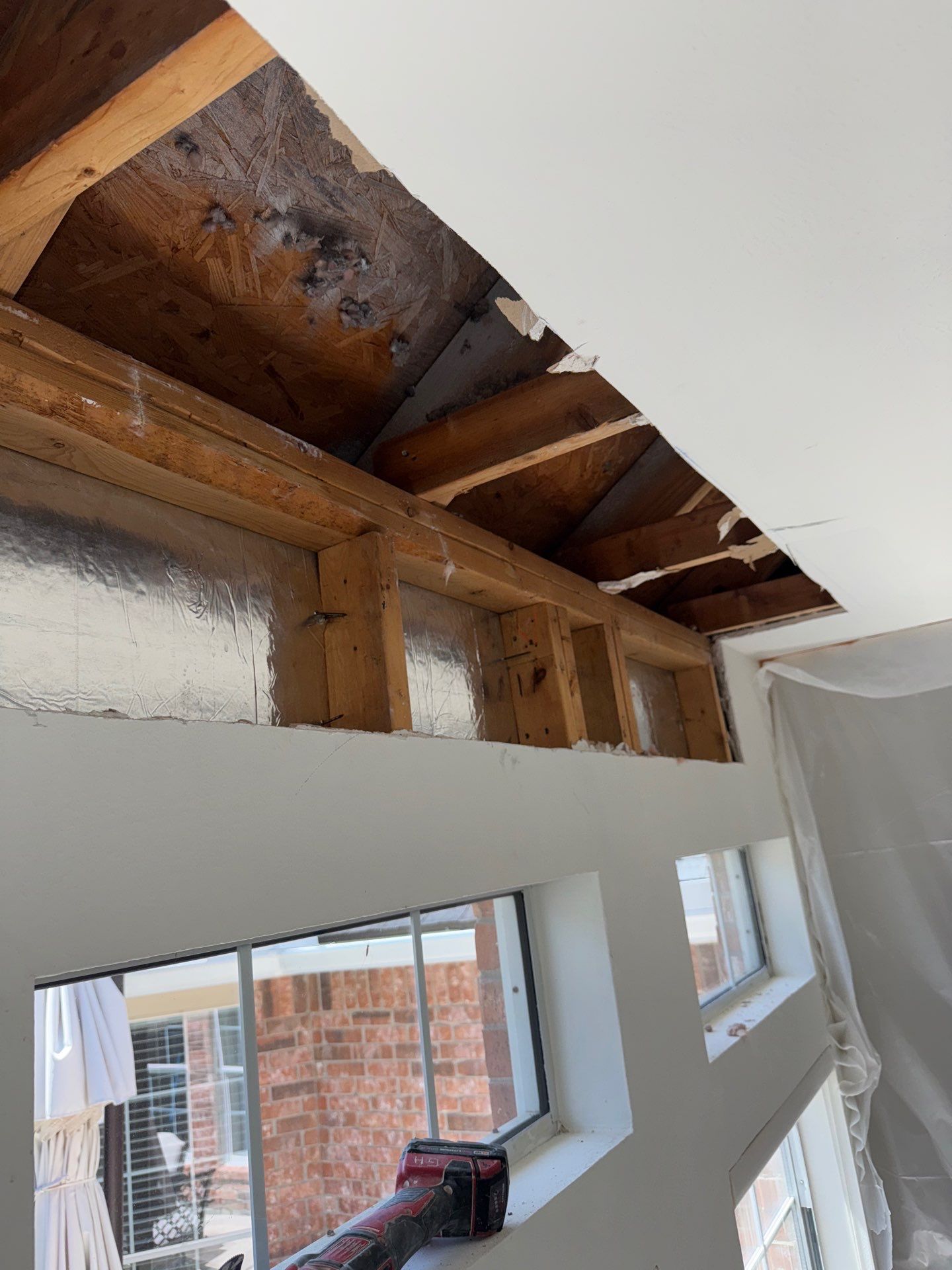 Mold Remediation Job in Richmond by Team Home Solutions
