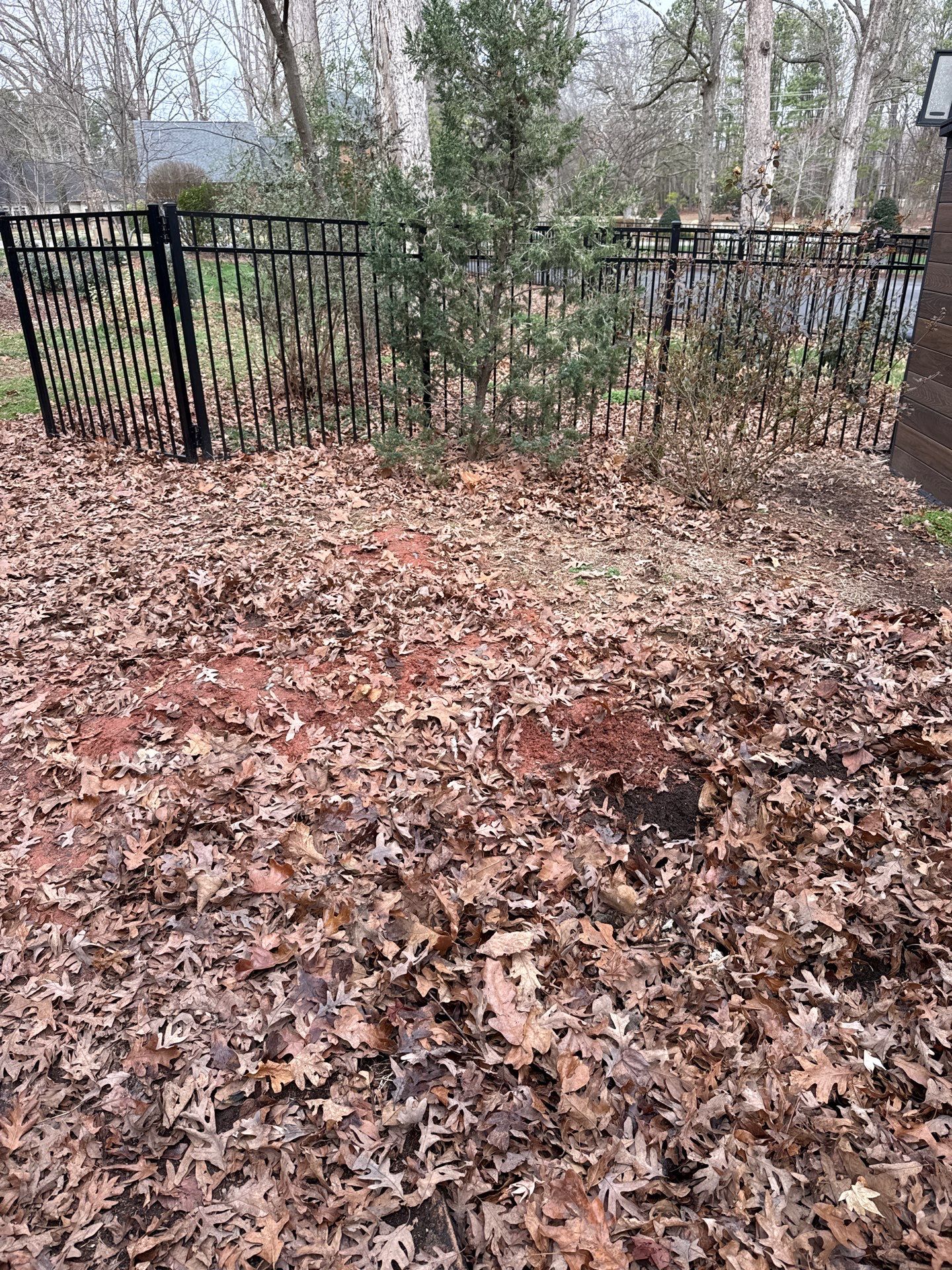 Job site clean up in Matthews by Badger Hauling