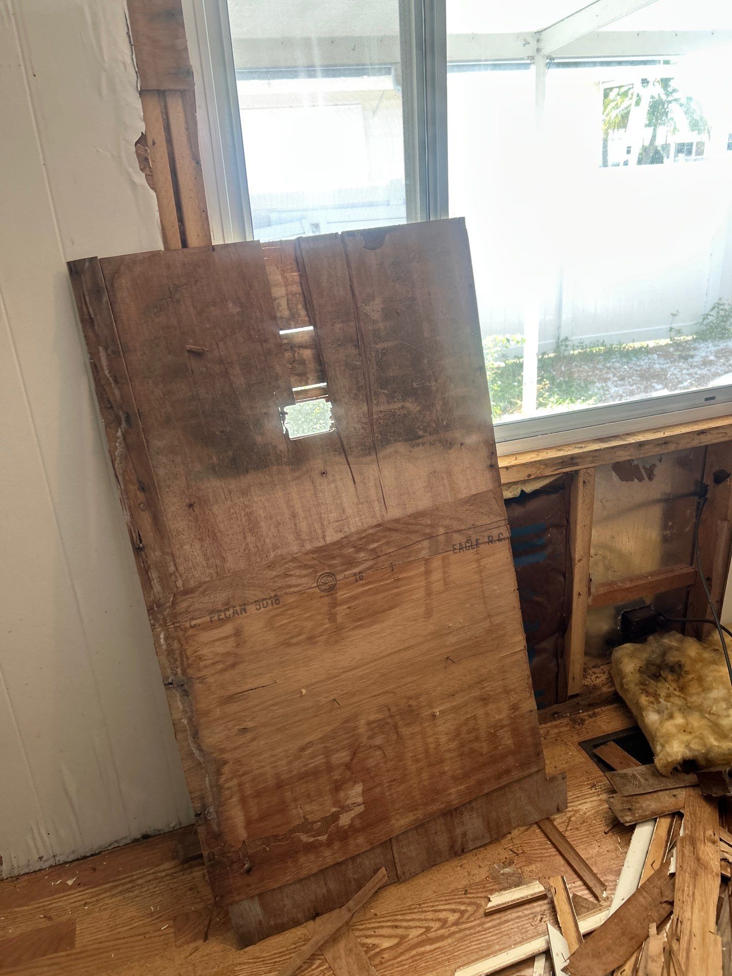 Mold Remediation Bradenton by Ampm Restoration Services 