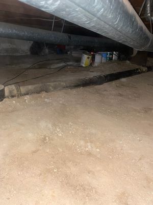 Project in Thornton