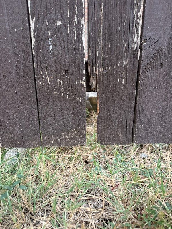 Project in Prosper by NIMBUS GENERAL CONTRACTORS, LLC