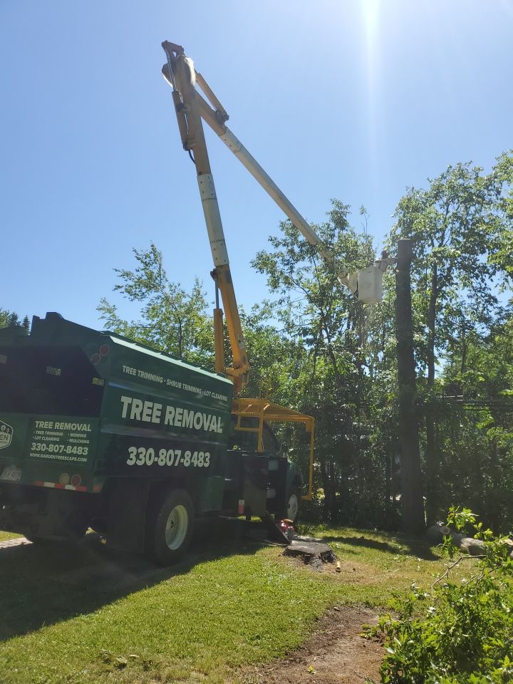 Tree Removal using Tree Removal by Mike Jones & Sons Tree Service LLC 