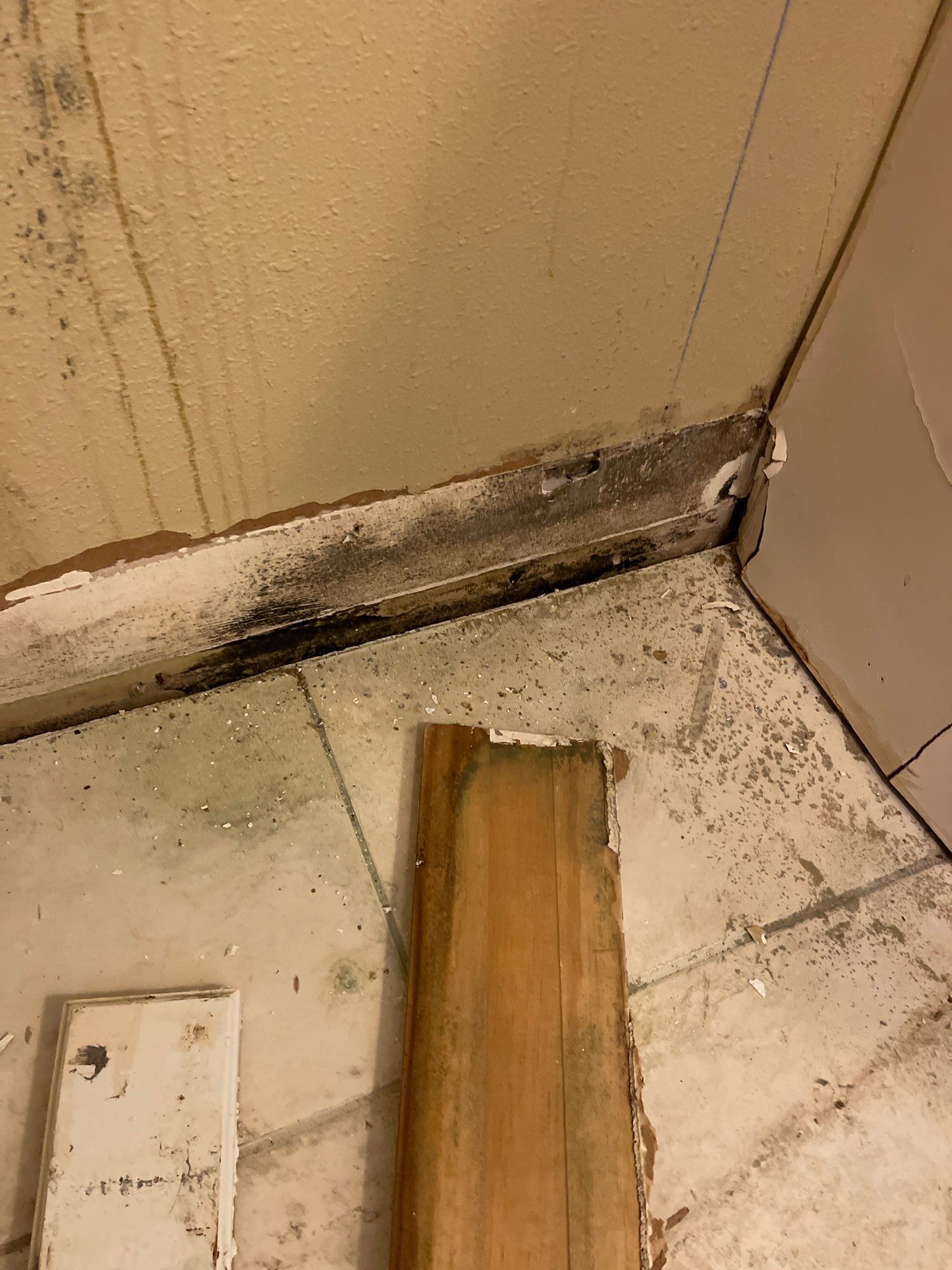 Mold remediation and rebuild of kitchen and living areas by Bay Coast Restoration 
