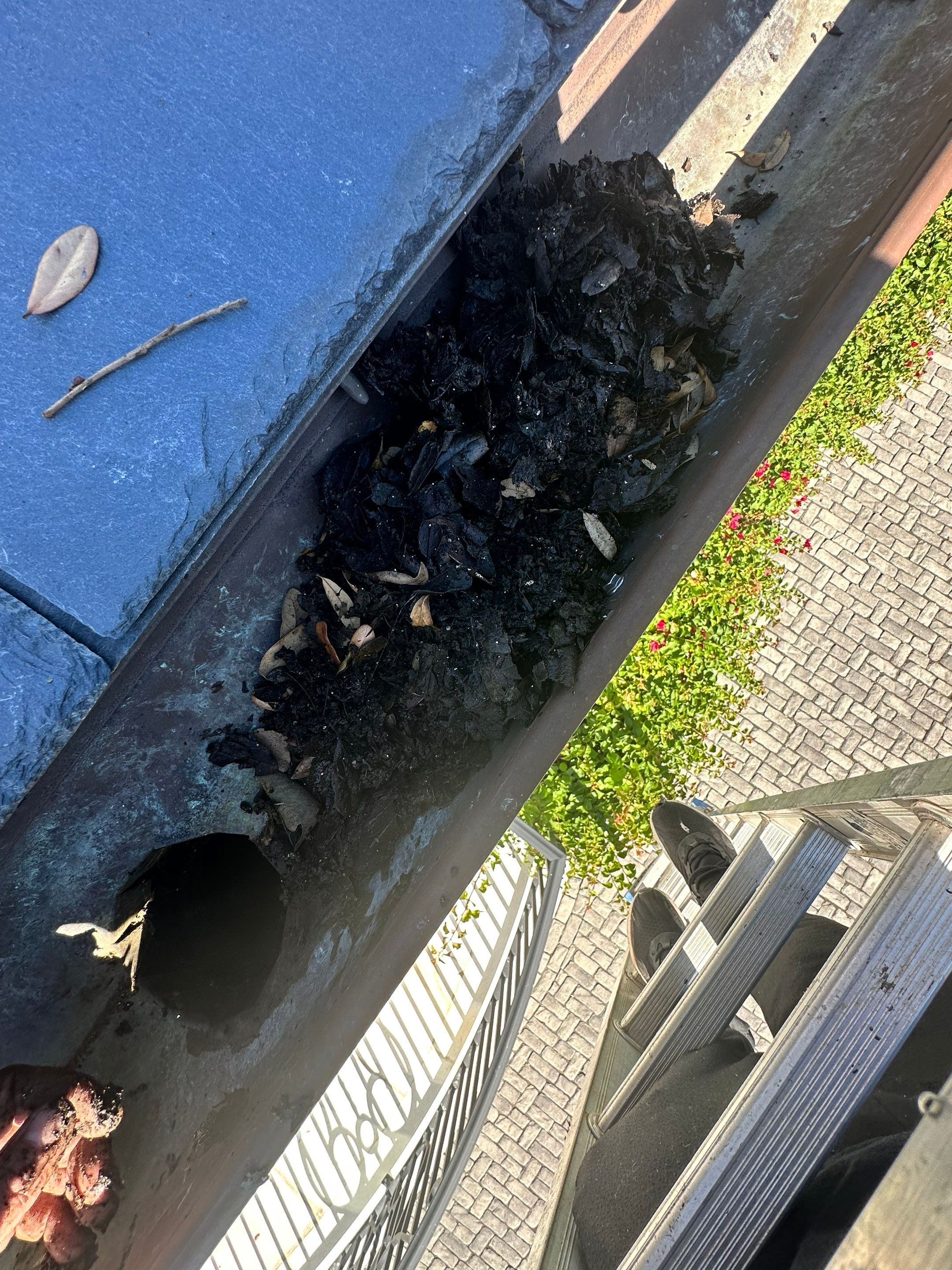 Gutter Cleaning using gutter cleaning in Sarasota FL by Gutter Professors