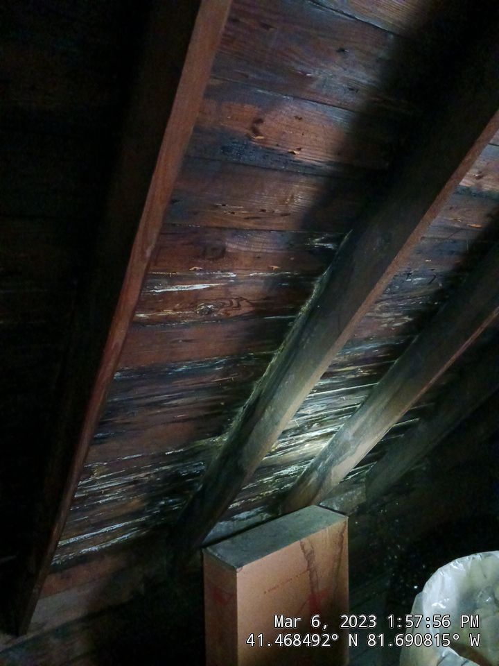 Roof Damage using structual repair and remodel by Absolute Roofing and Construction