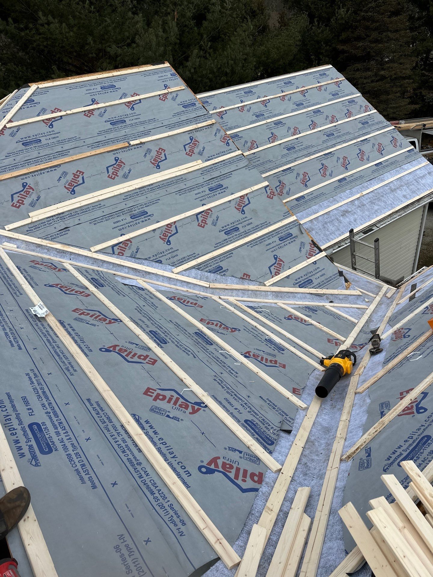 Alpha Rib, Color: Forest Green by Eagle Eye Roofing