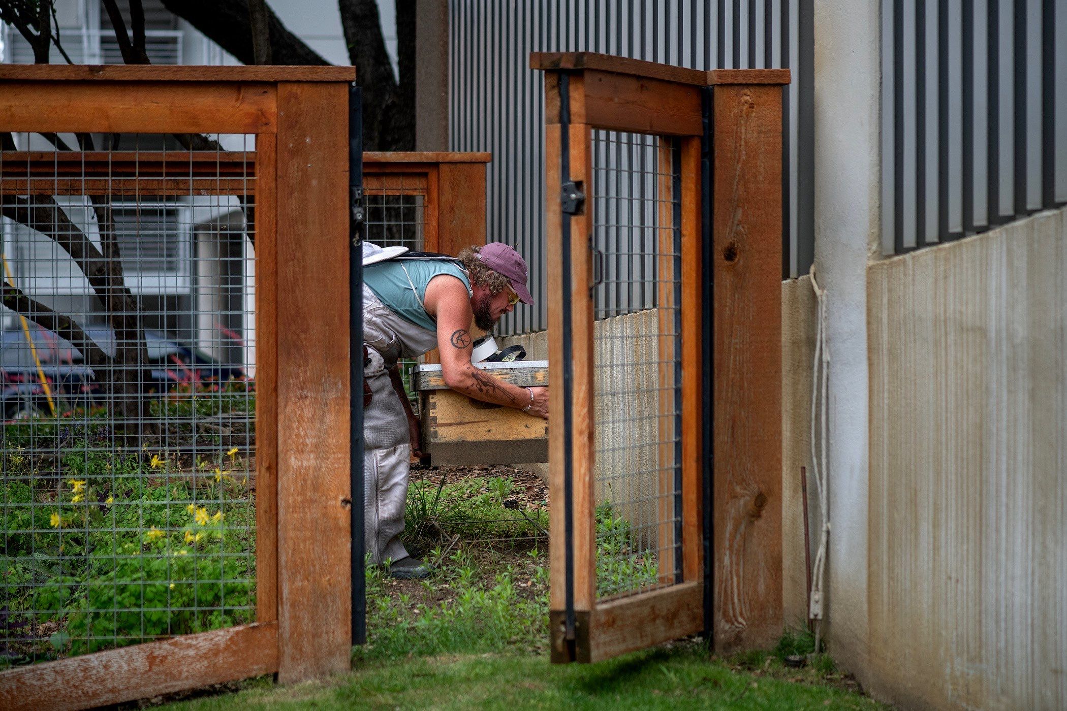 Urban Beekeeping in Dallas by Rockwall Honey Bee Company
