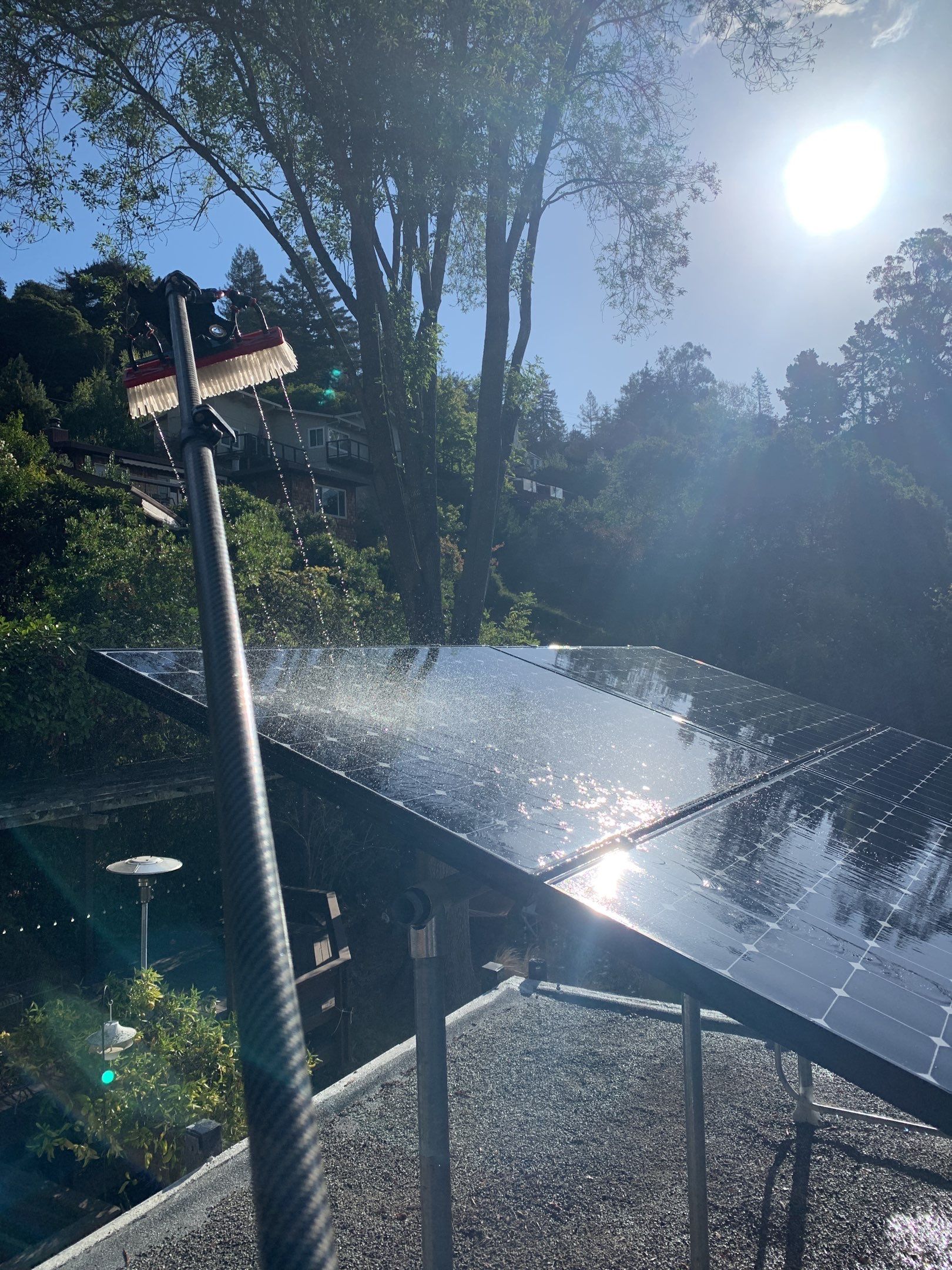 Elise Hurwitz’ Window Clean by SpotFree Window Cleaning