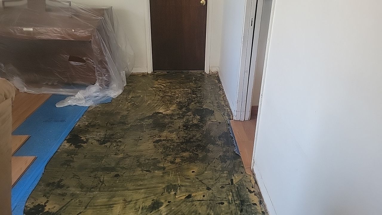 Water Damage by Accountable Home Services