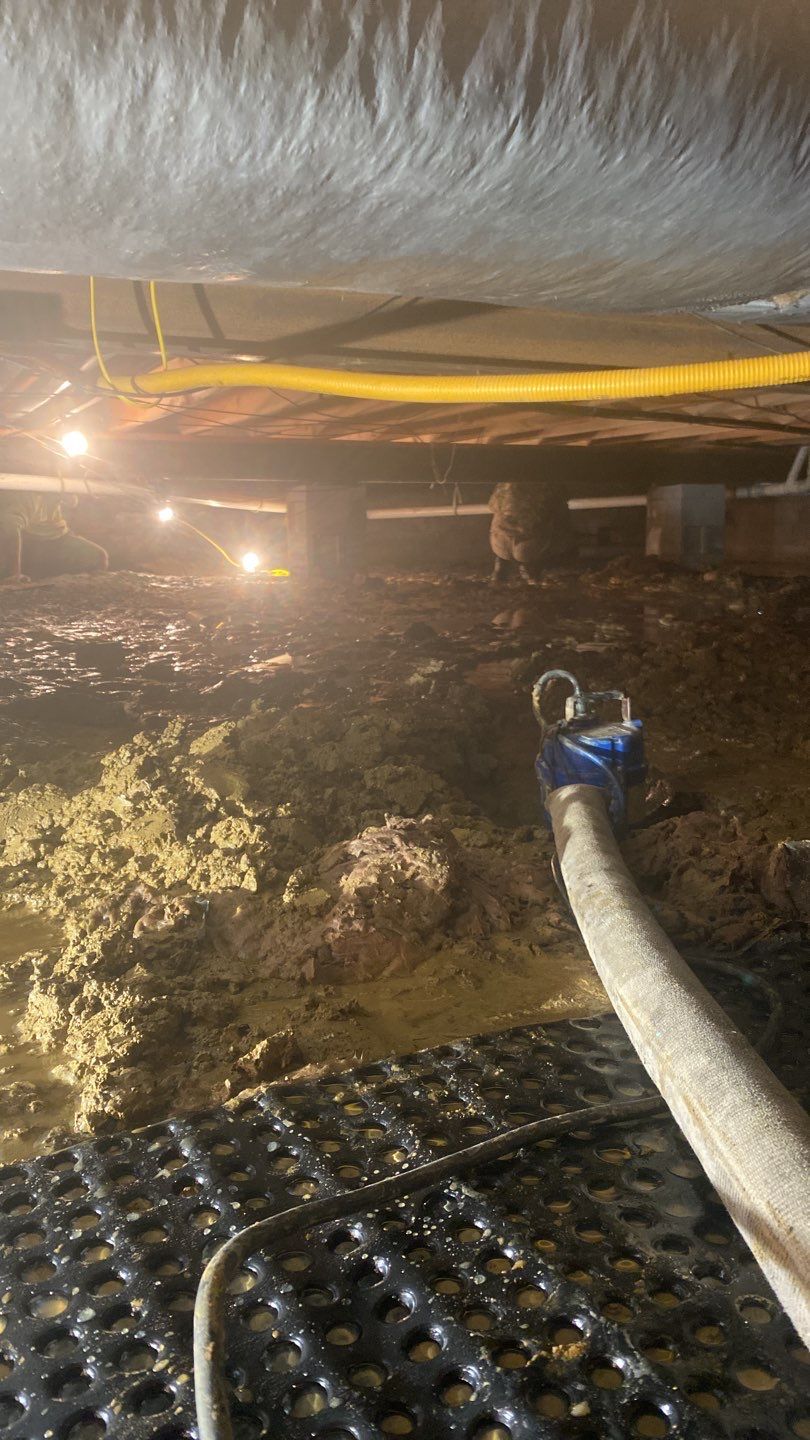 WE ARE SWIMMING IN THIS CRAWLSPACE by Toledo Basement Repair
