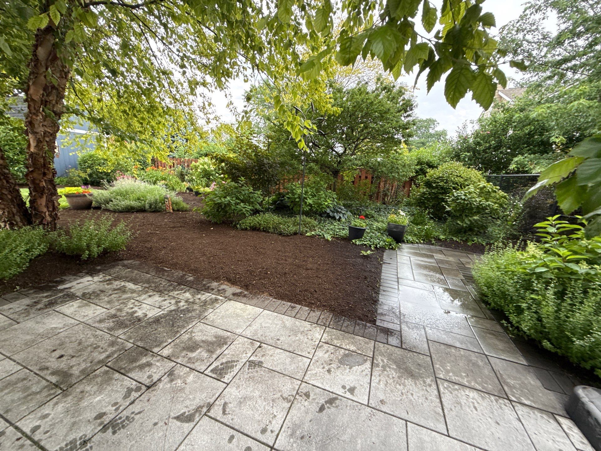 Rob M. - Arlington Heights, IL by A&N 