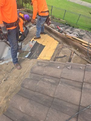 Roof Repair Spring