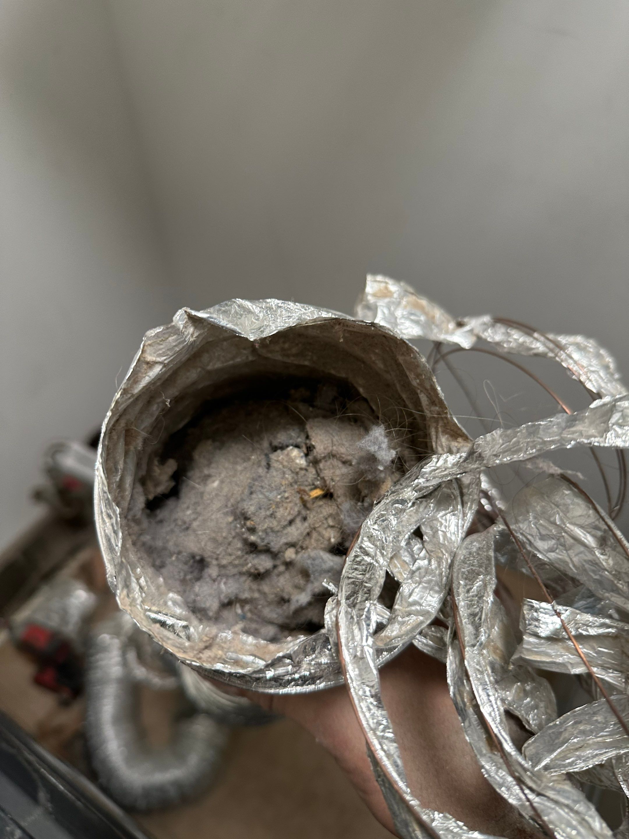 Dryer Vent Replacement by TMS Services