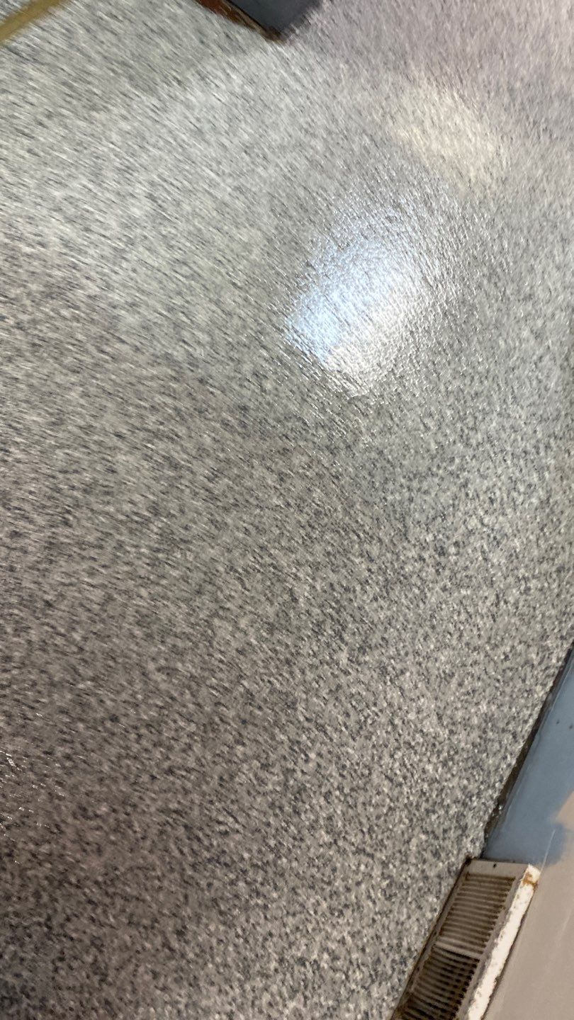 Cat Hospital Project in Pittsburgh by Floors in a Day, Inc