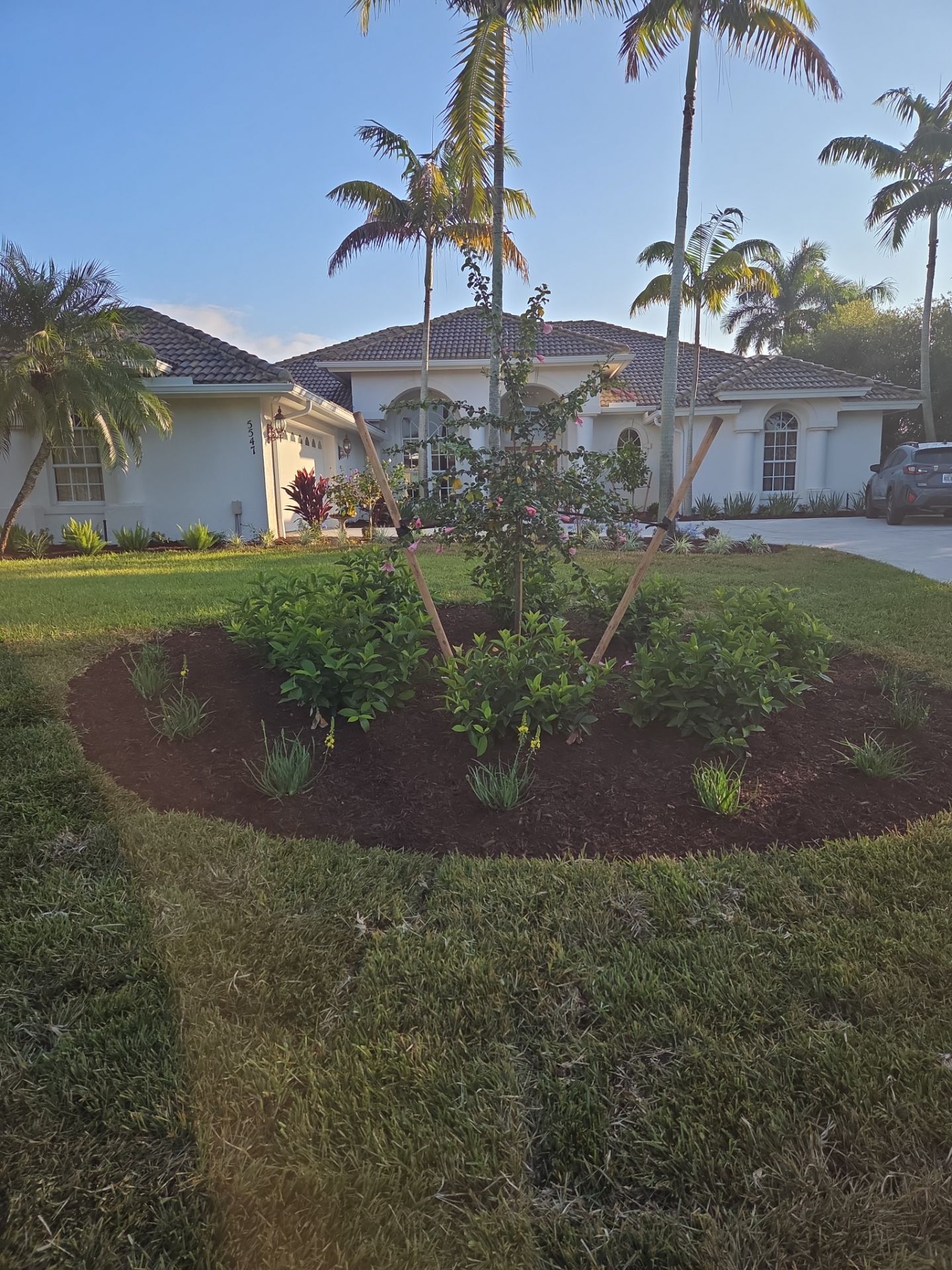 🌴 Landscape Removal and Install in Palm City by Alpha Zeta Enterprises Inc