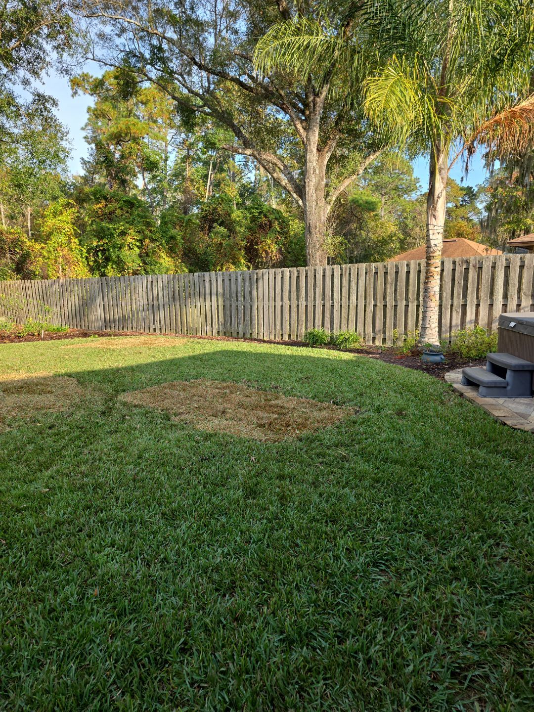 Deerwood Resident | Winter Sod Replacement by ProGreen Services