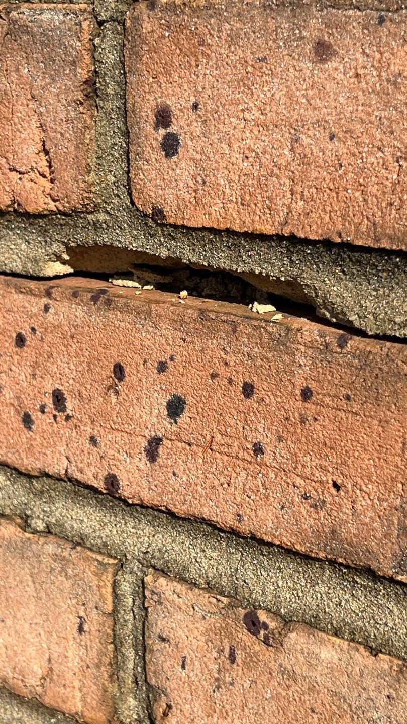 Problems in Paradise  by Bayfront Roofing and Construction