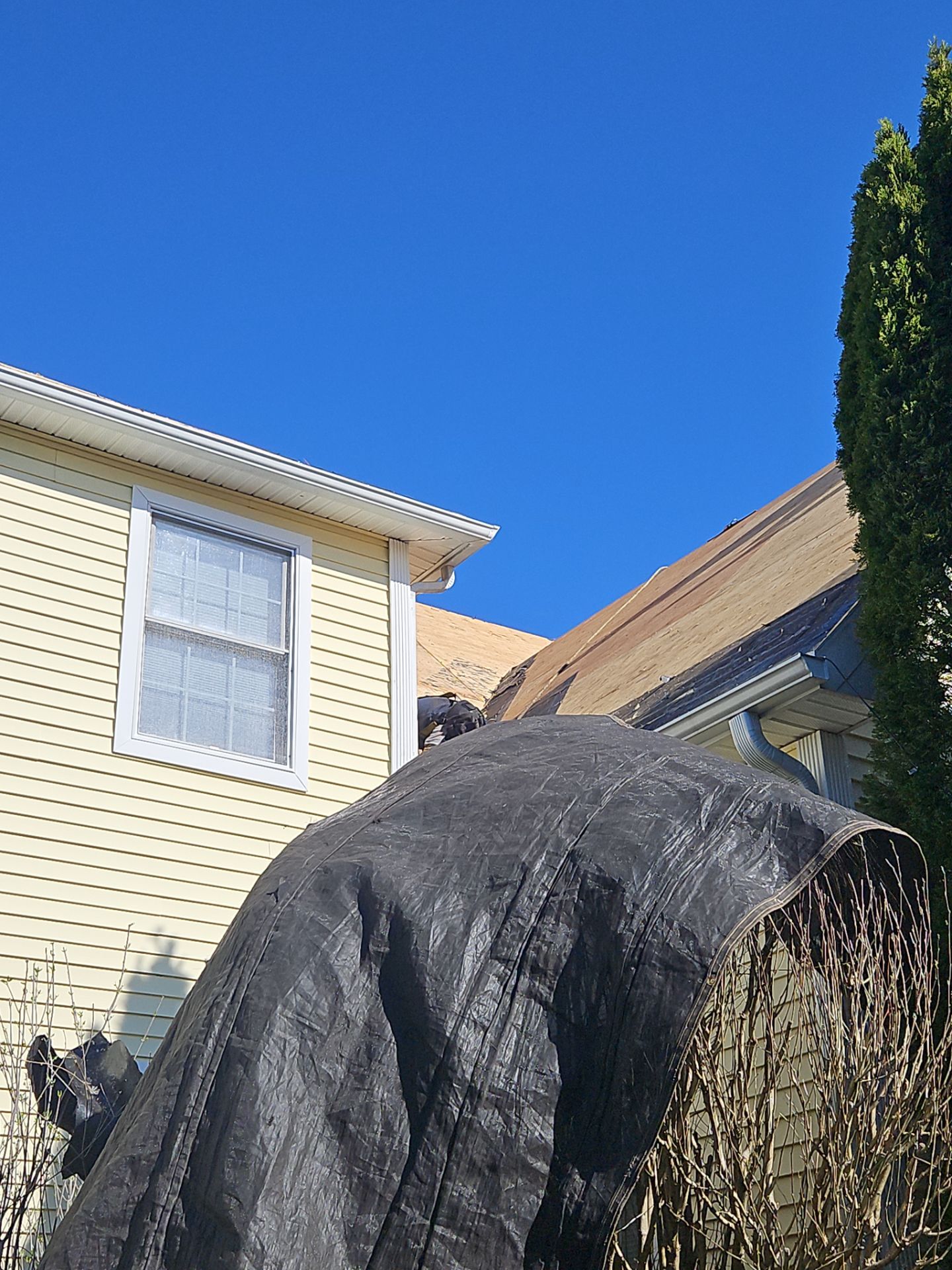 Roof Replacement in Littleton, MA by Mighty Dog Roofing of Greater Middlesex County