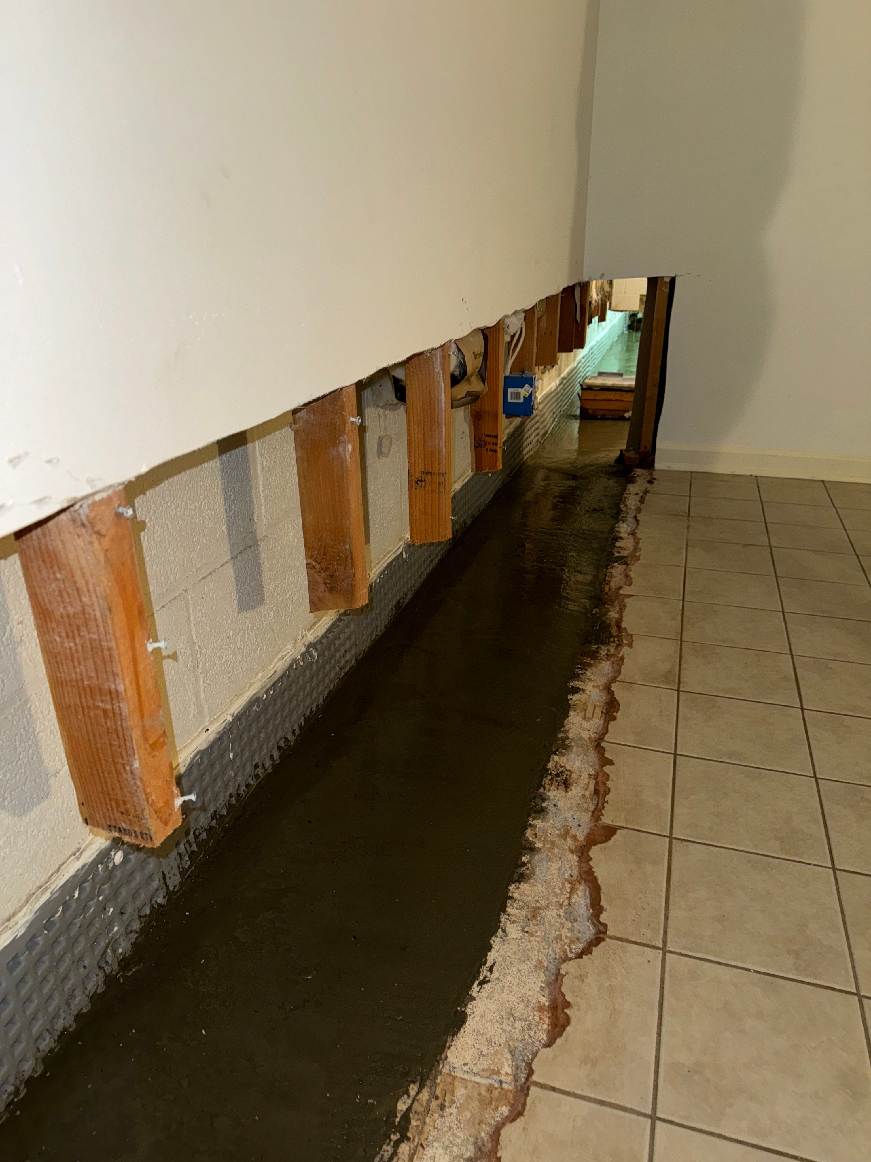 Interior French Drain Basking Ridge NJ by Pure Service Pro, LLC 