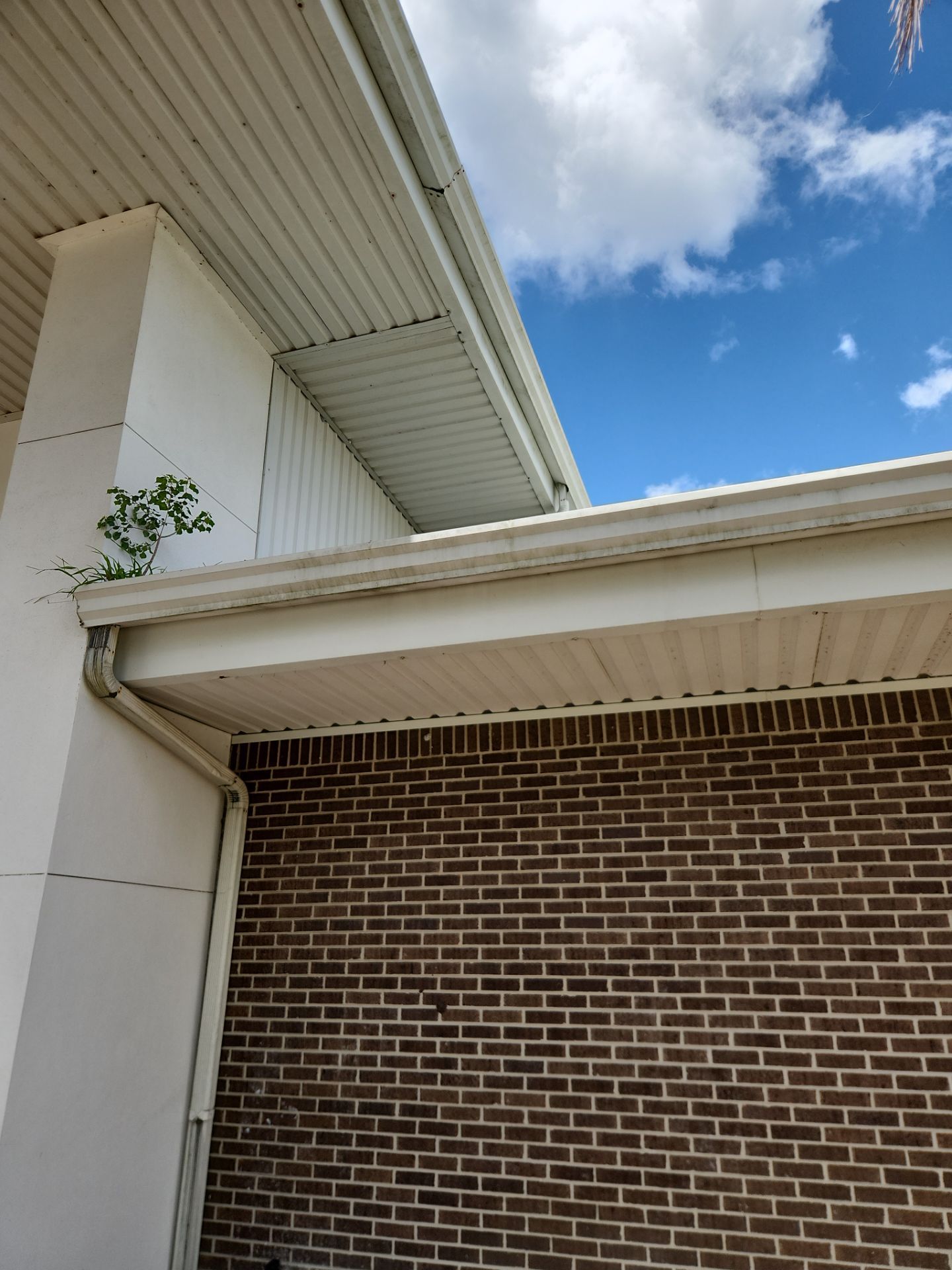 Project in Lake Wales by Drone Clean