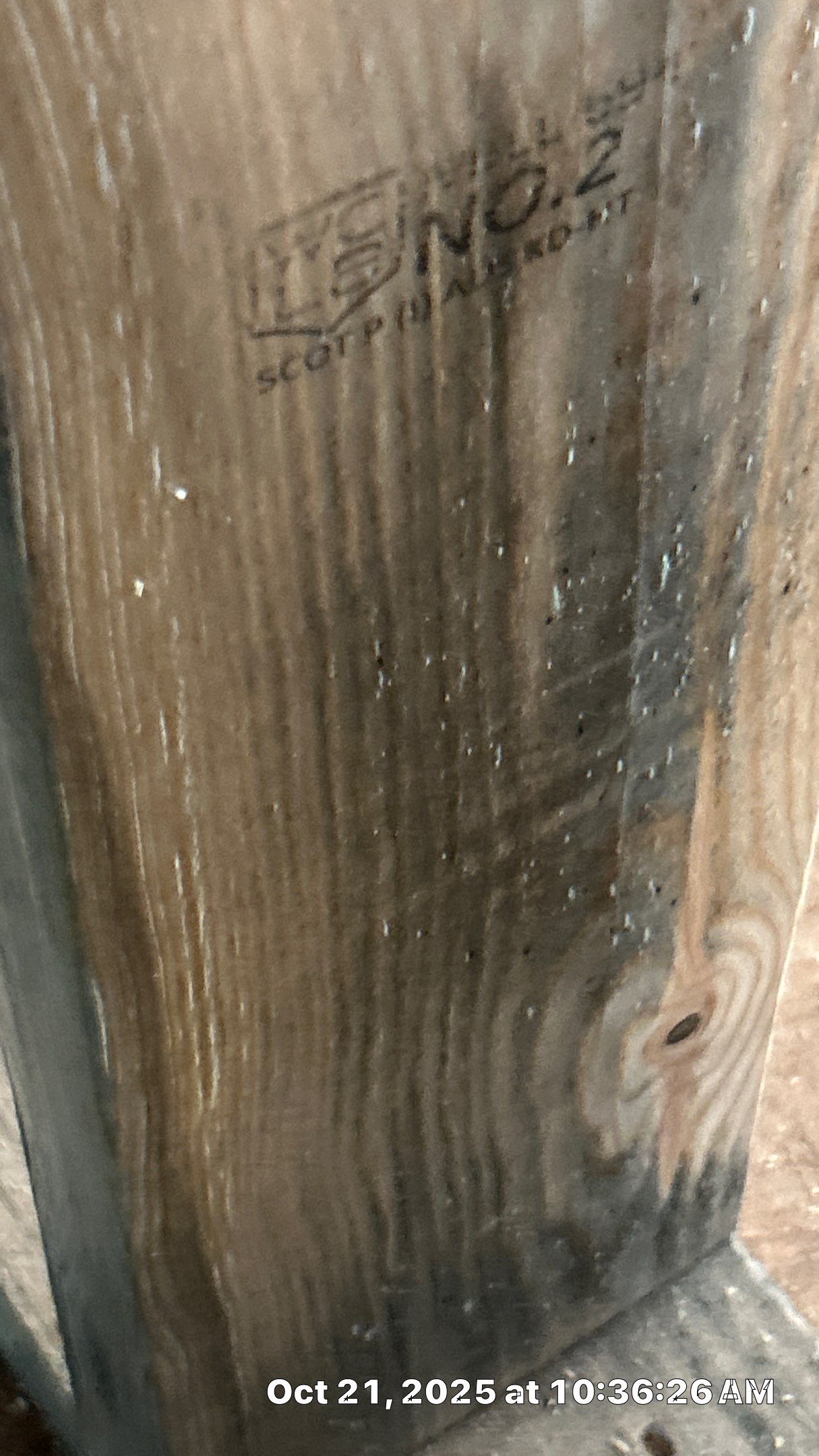 Mold remediation for custom home addition by EAS Environmental, LLC.