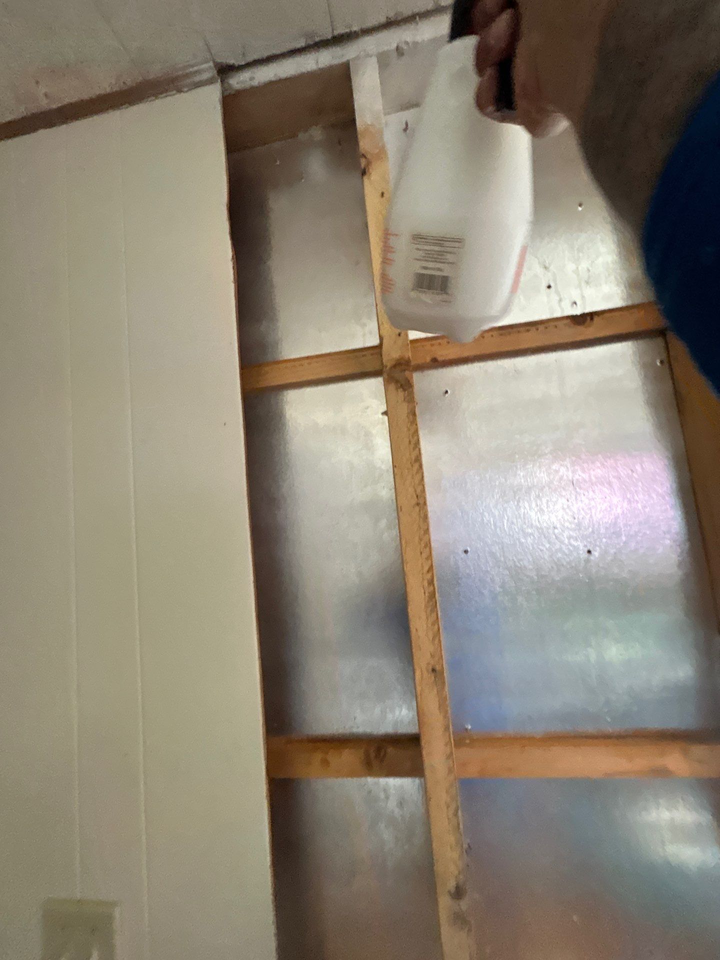 Mold Remediation Bradenton by Ampm Restoration Services 