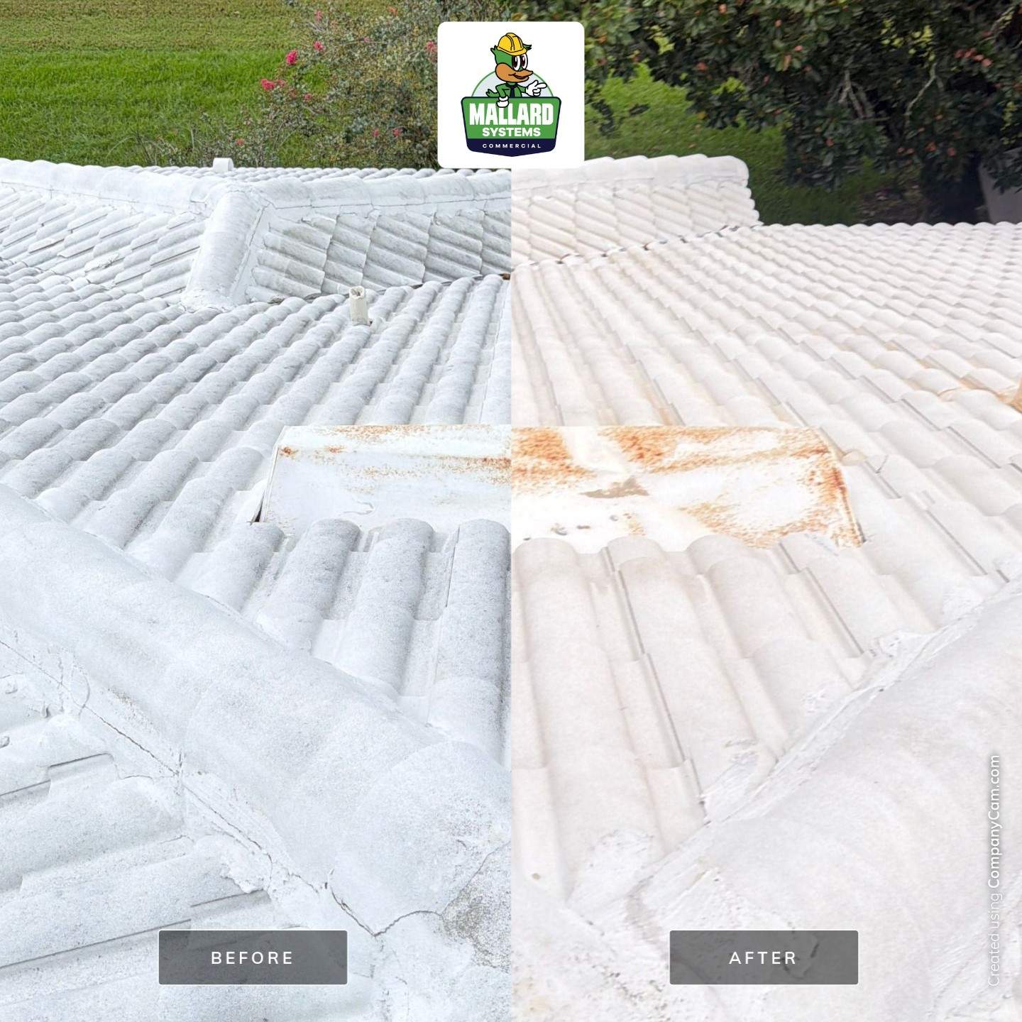 White Tile Roof Cleaning in Windermere by Mallard Systems