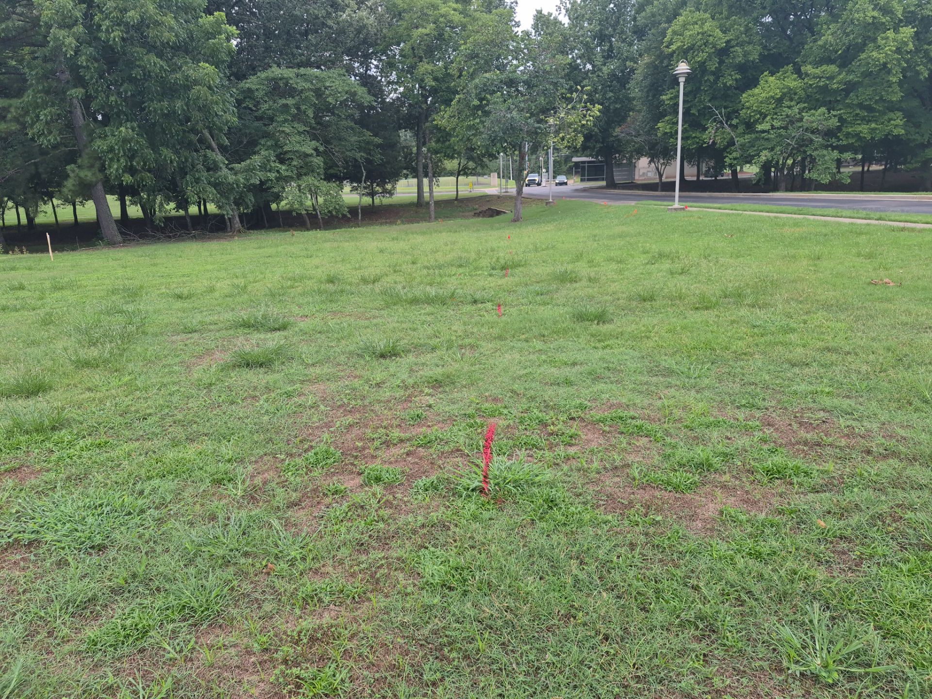 Private Utility Locating and Marking for Collierville Commercial Campus by Alsip Locating Service, LLC
