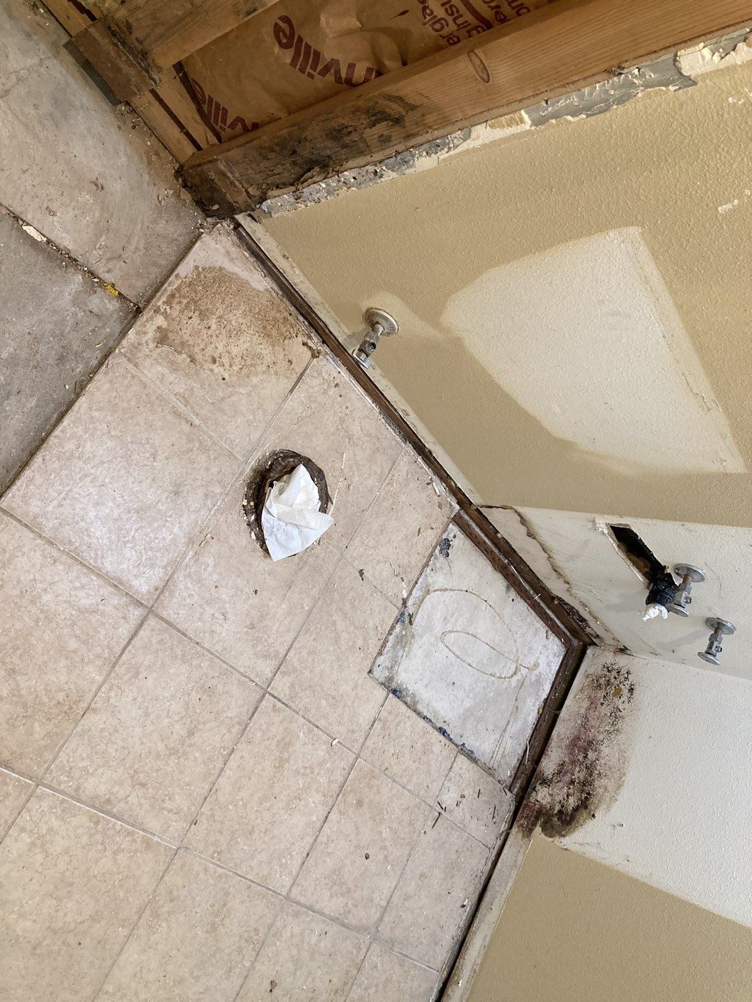 Mold Remediation by Accountable Home Services