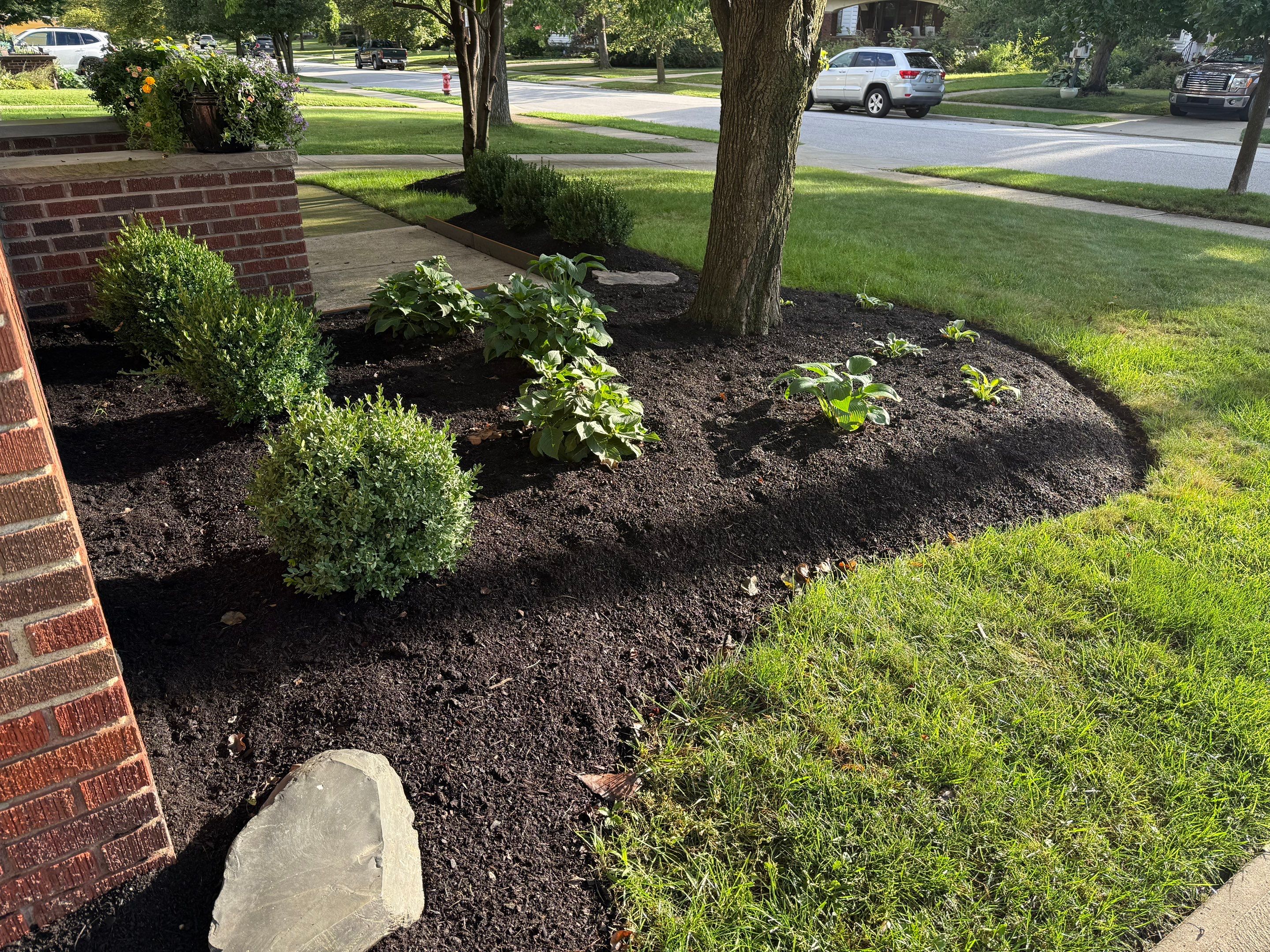 Modern Magnolia Project by Elm Rose Gardens