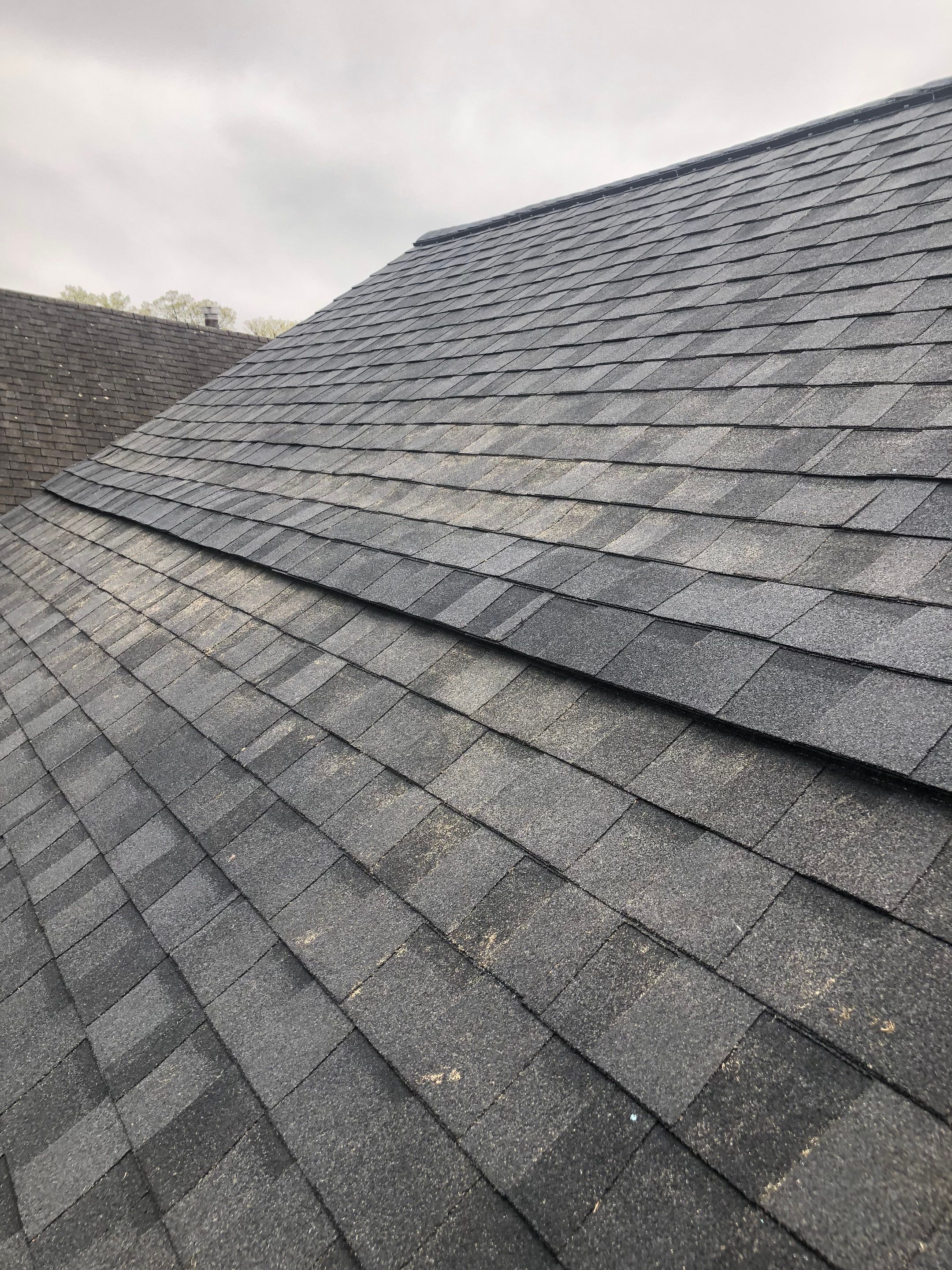 Vienna: CertainTeed Landmark Pro Designer Shingles in Max Def Moire Black by RM Banning, Inc.