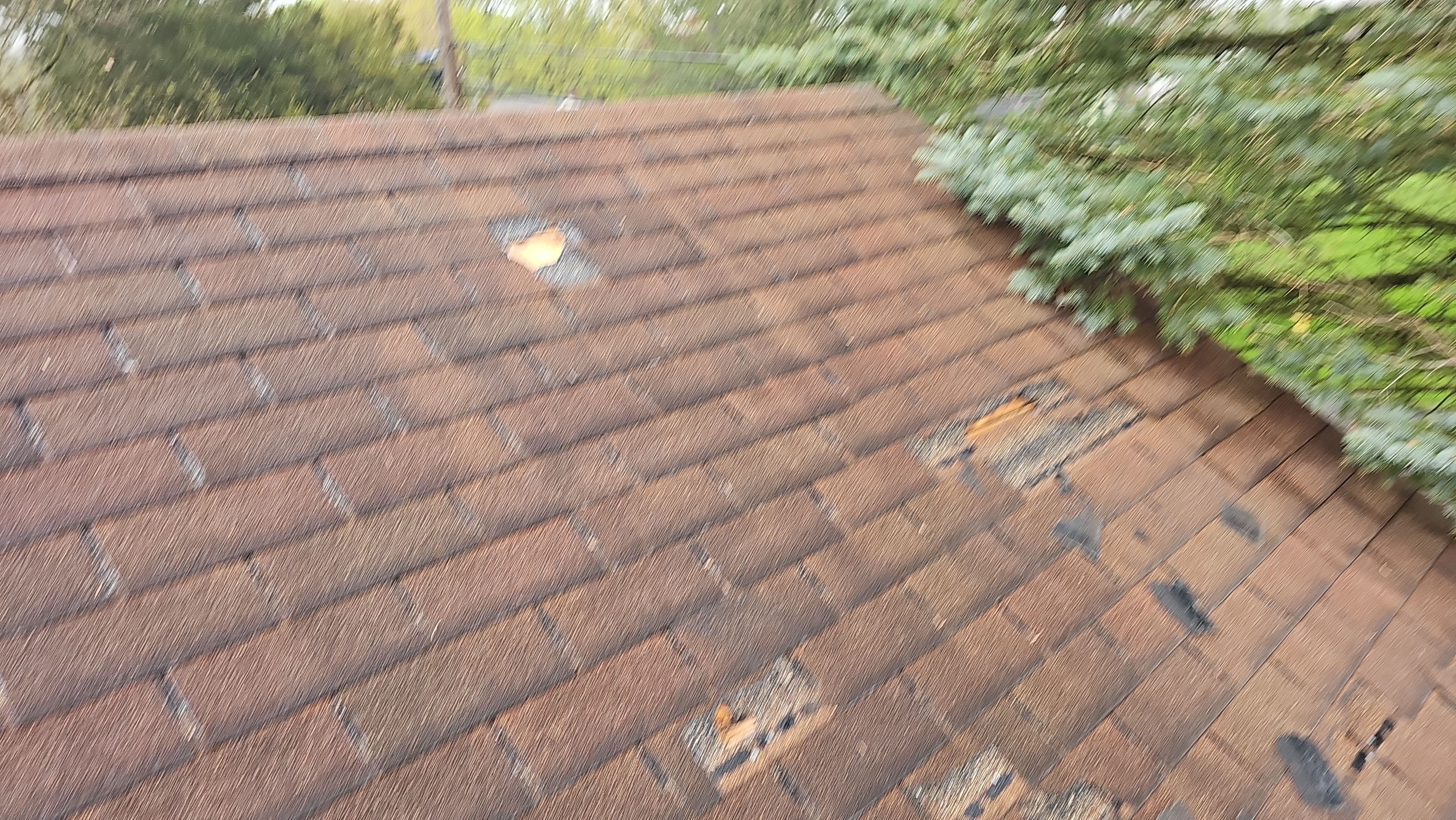 Atlas Pinnacle, Color, Morning Harvest, Drip Edge, Color, Royal Brown by Eagle Eye Roofing