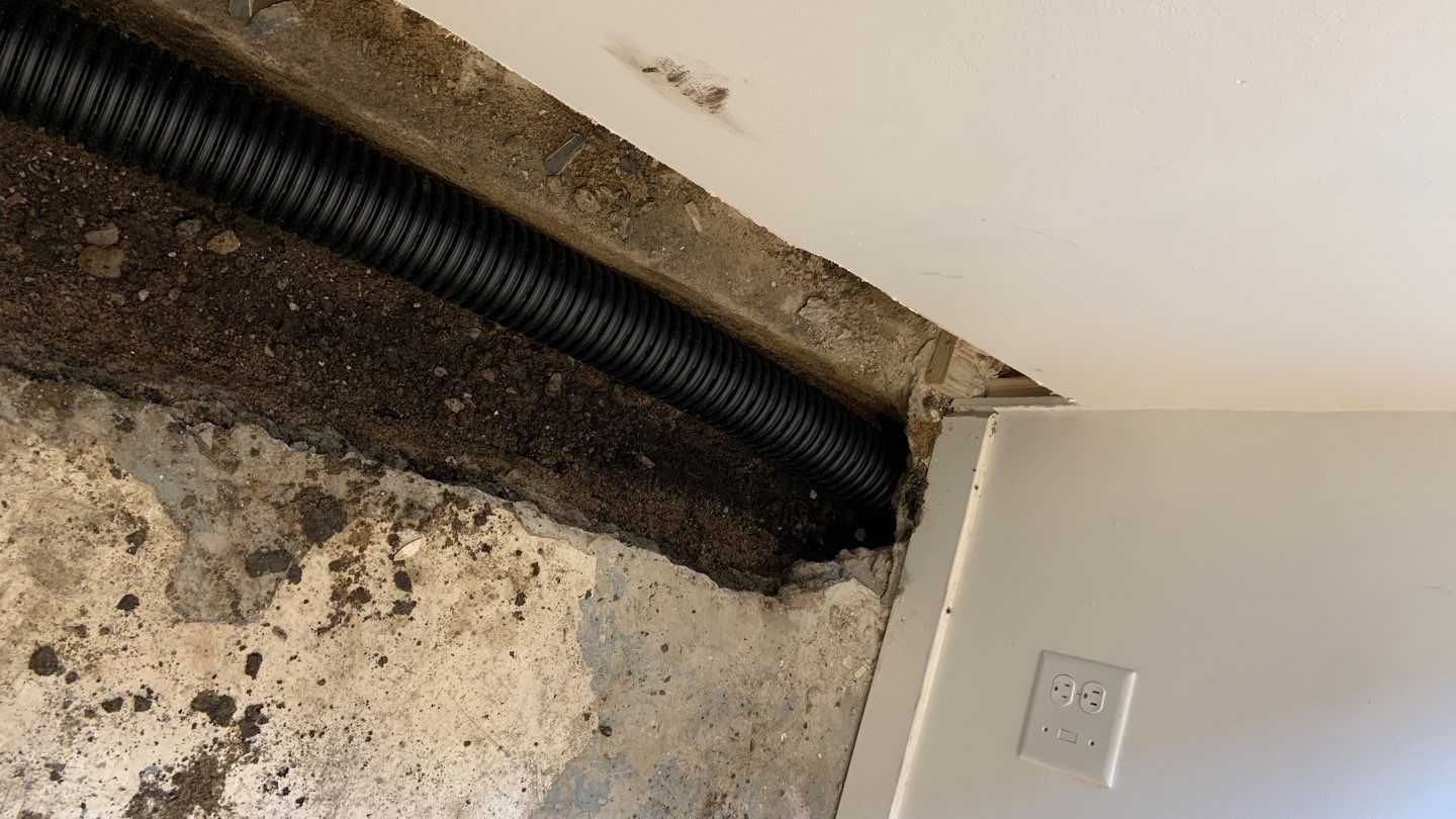 Peace of Mind for Molly’s New Home by Waterproofing Northeast