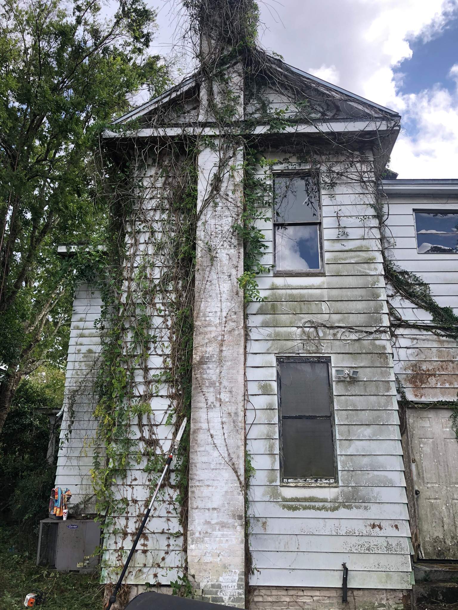 Extreme Clean Up | Riverside Area by ProGreen Services