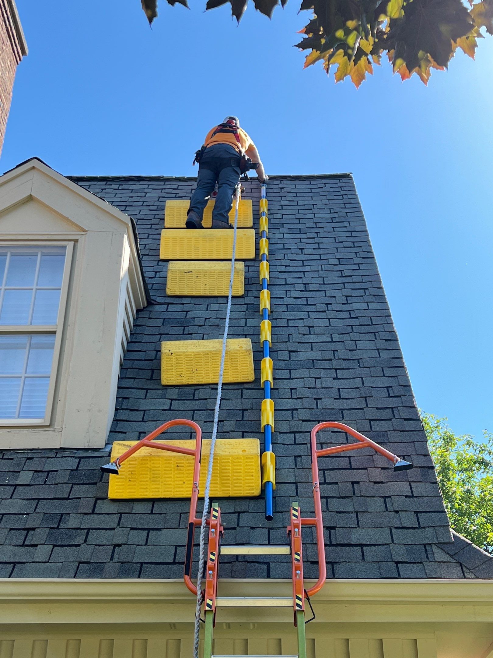 Save The Life Of Another Roof. Don’t Prematurely Replace Your Roof.  by Save My Roof,LLC
