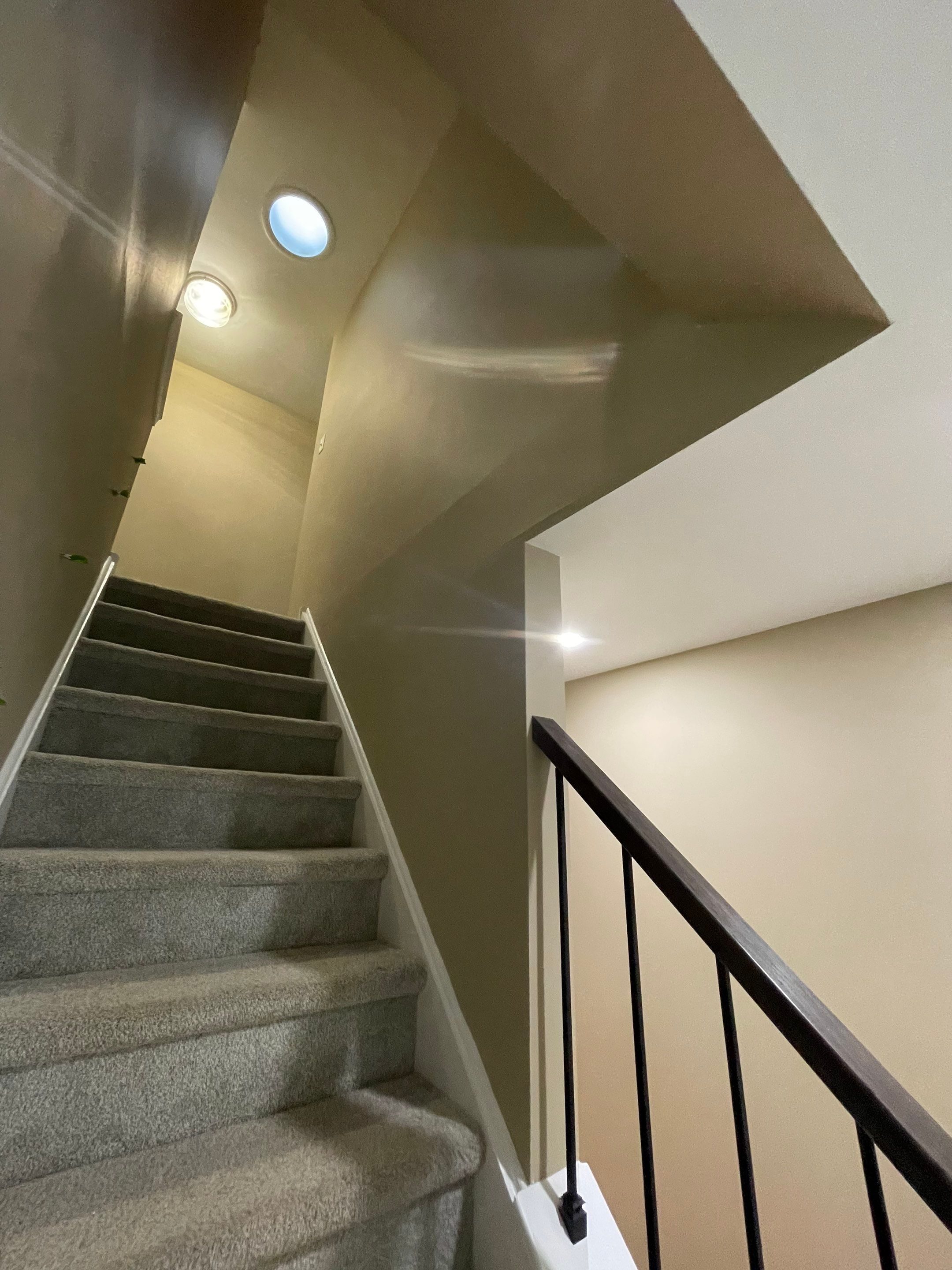 Whole-Home Interior Refresh in Newtown by Groovy Hues