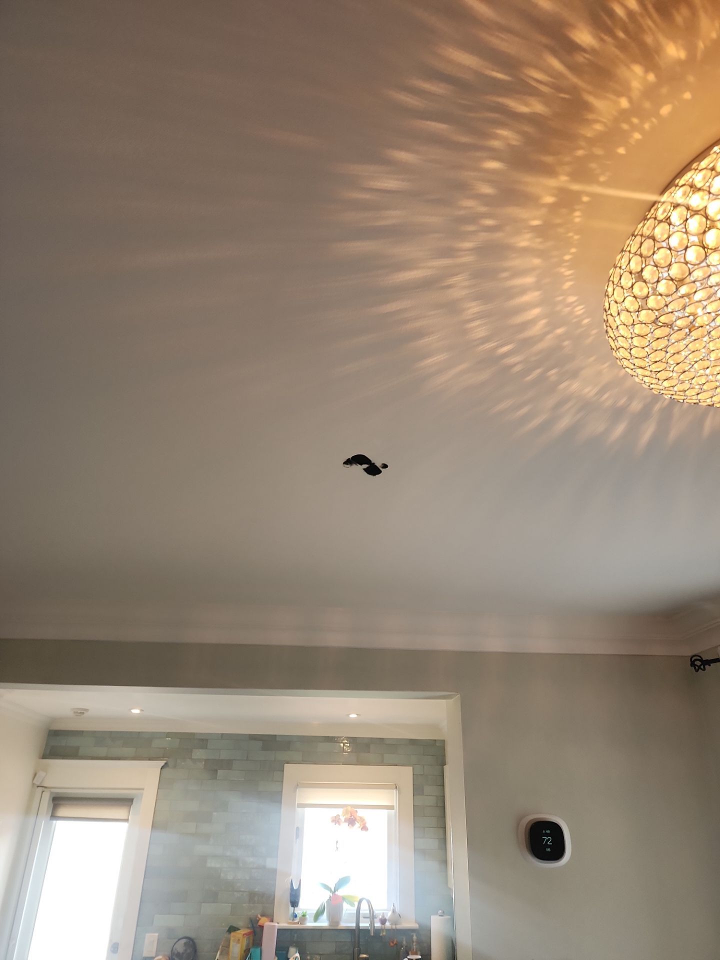 Full House Interior and Exterior Painting with Porch Restoration by GTA HOME PAINTING