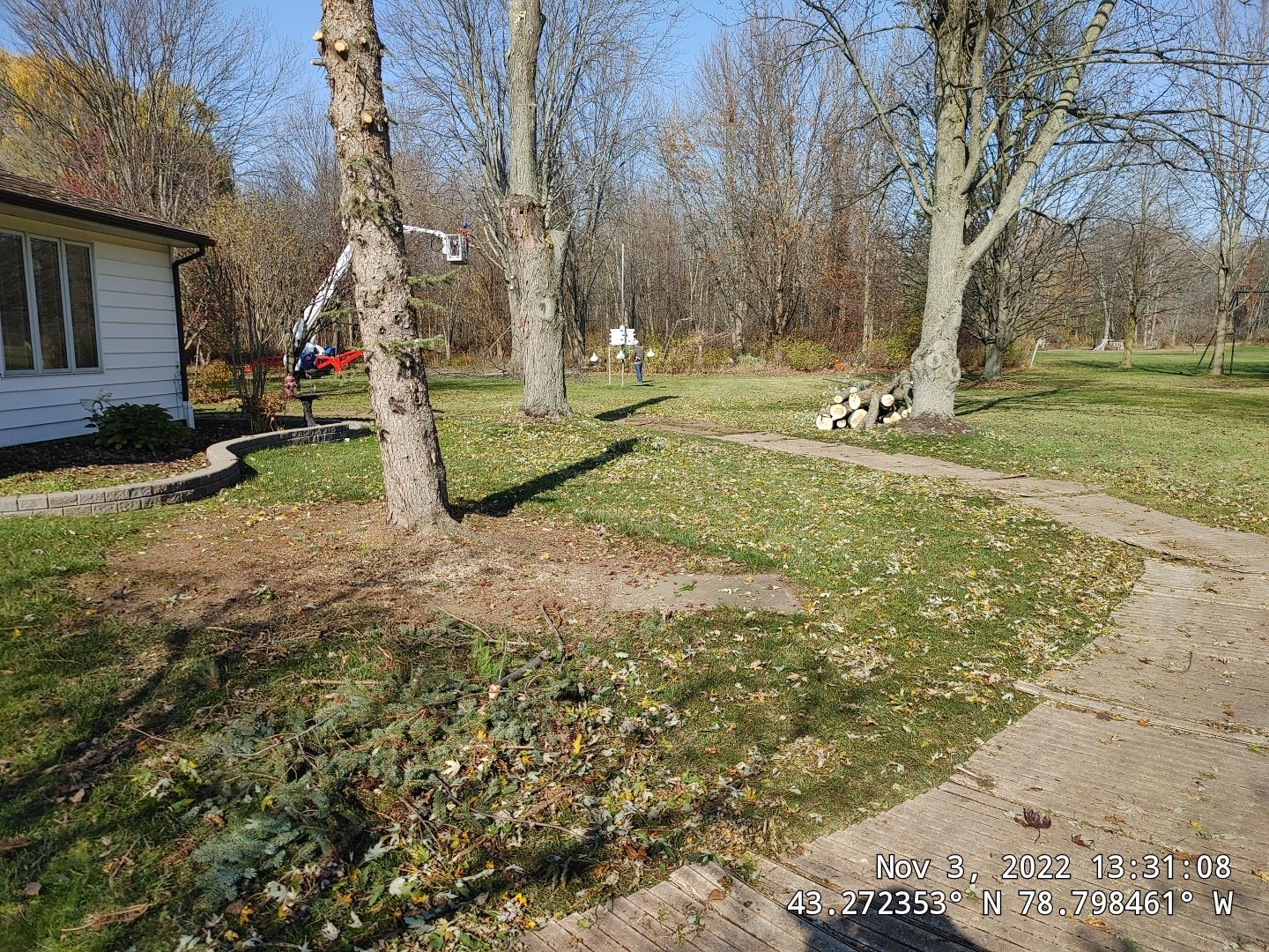 Tree Removal using Ground Protection  by Treeman Tom LLC