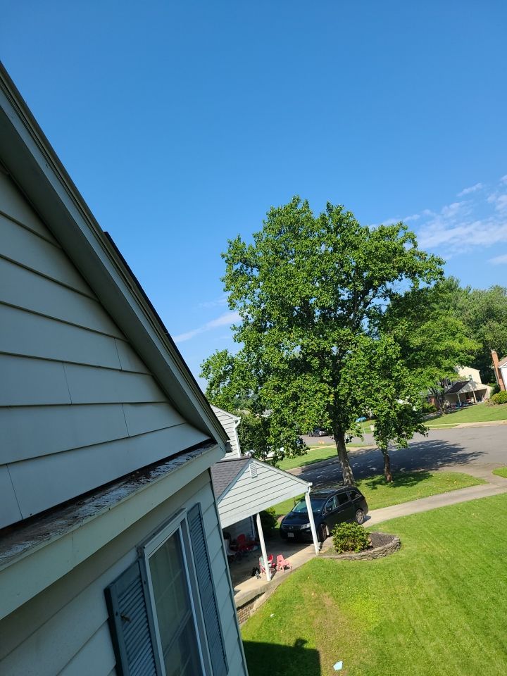 Alexandria: Multi-Trade Exterior Renovation by RM Banning, Inc.