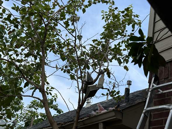 Between Floors by Rockwall Honey Bee Company