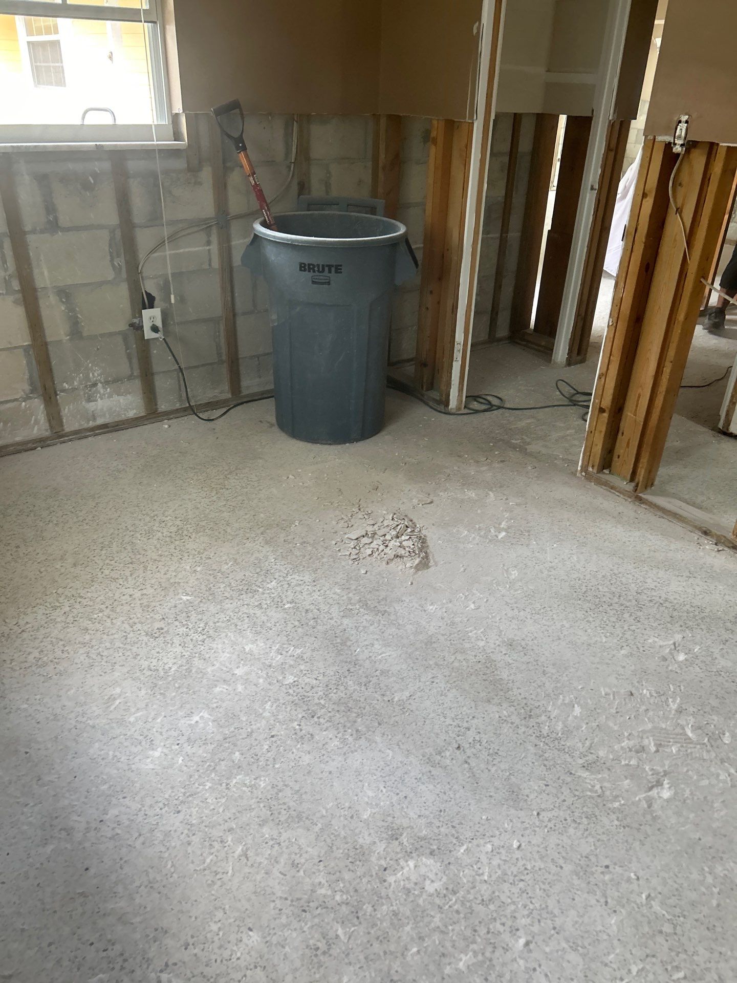 Mold Remediation + Reconstruction Bradenton by Ampm Restoration Services 