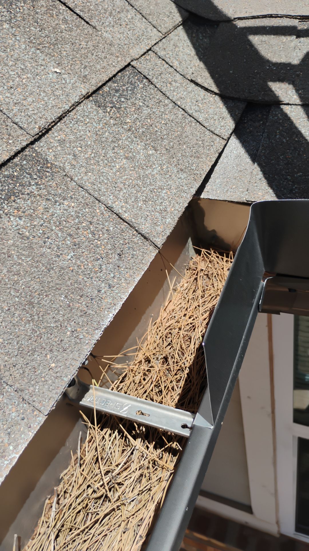 HOA gutter cleaning before photo