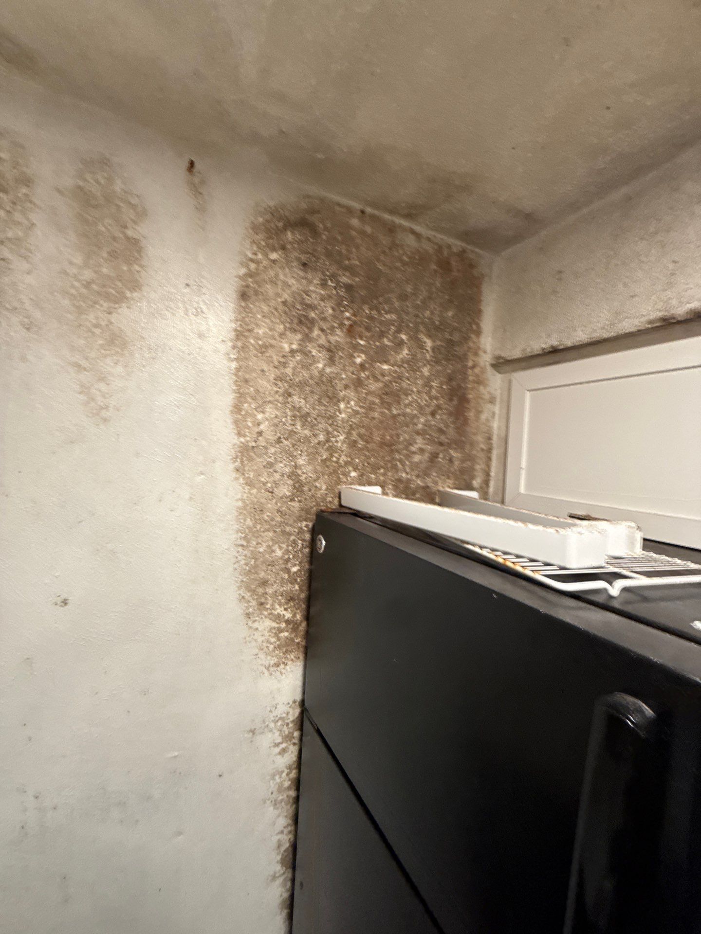 The Slate by Disaster Recovery Consultants