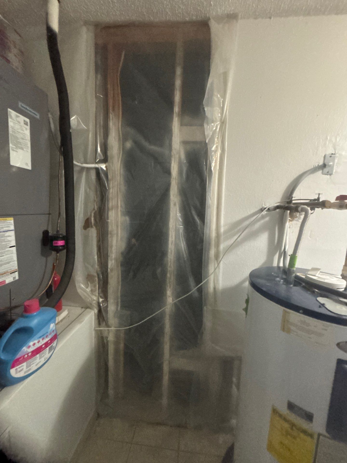 Mold Removal In Sarasota Florida by Ampm Restoration Services
