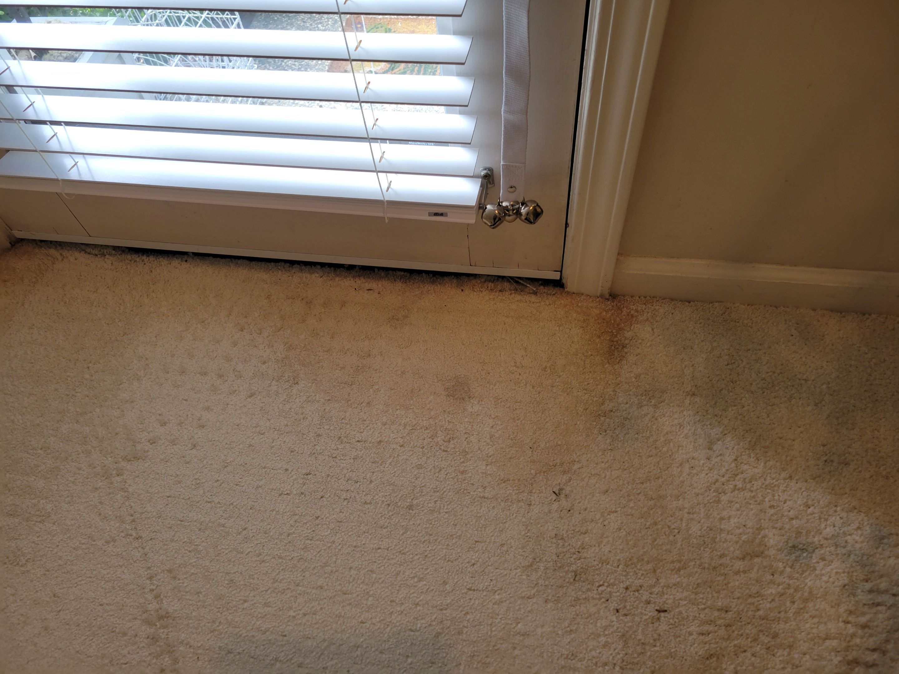 Highly Reactive, Jute Backed Carpet by Ardent Carpet Restore LLC